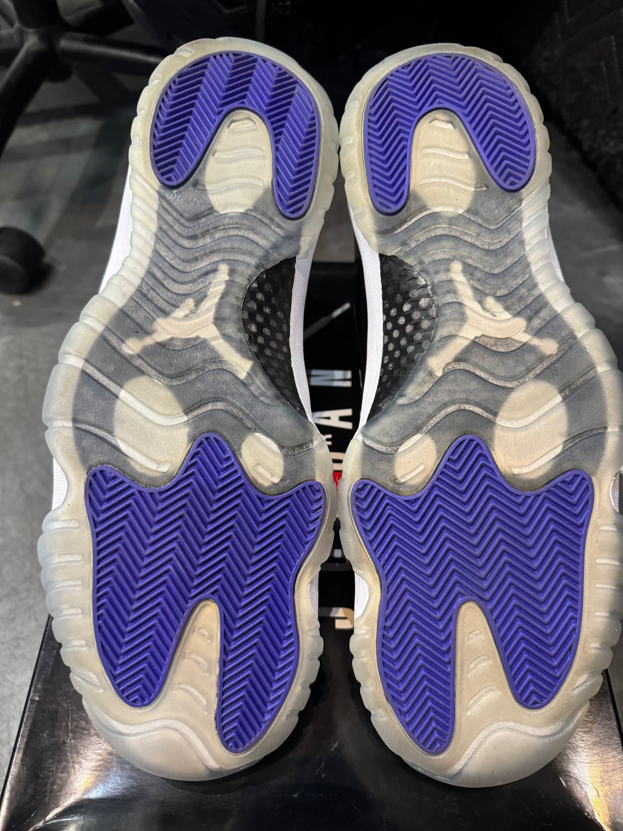 Jordan 11 Retro Concord (2018)