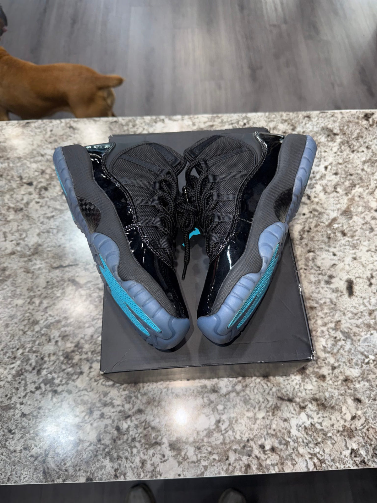 Jordan 11 Retro Gamma Blue (2025) (GS)
