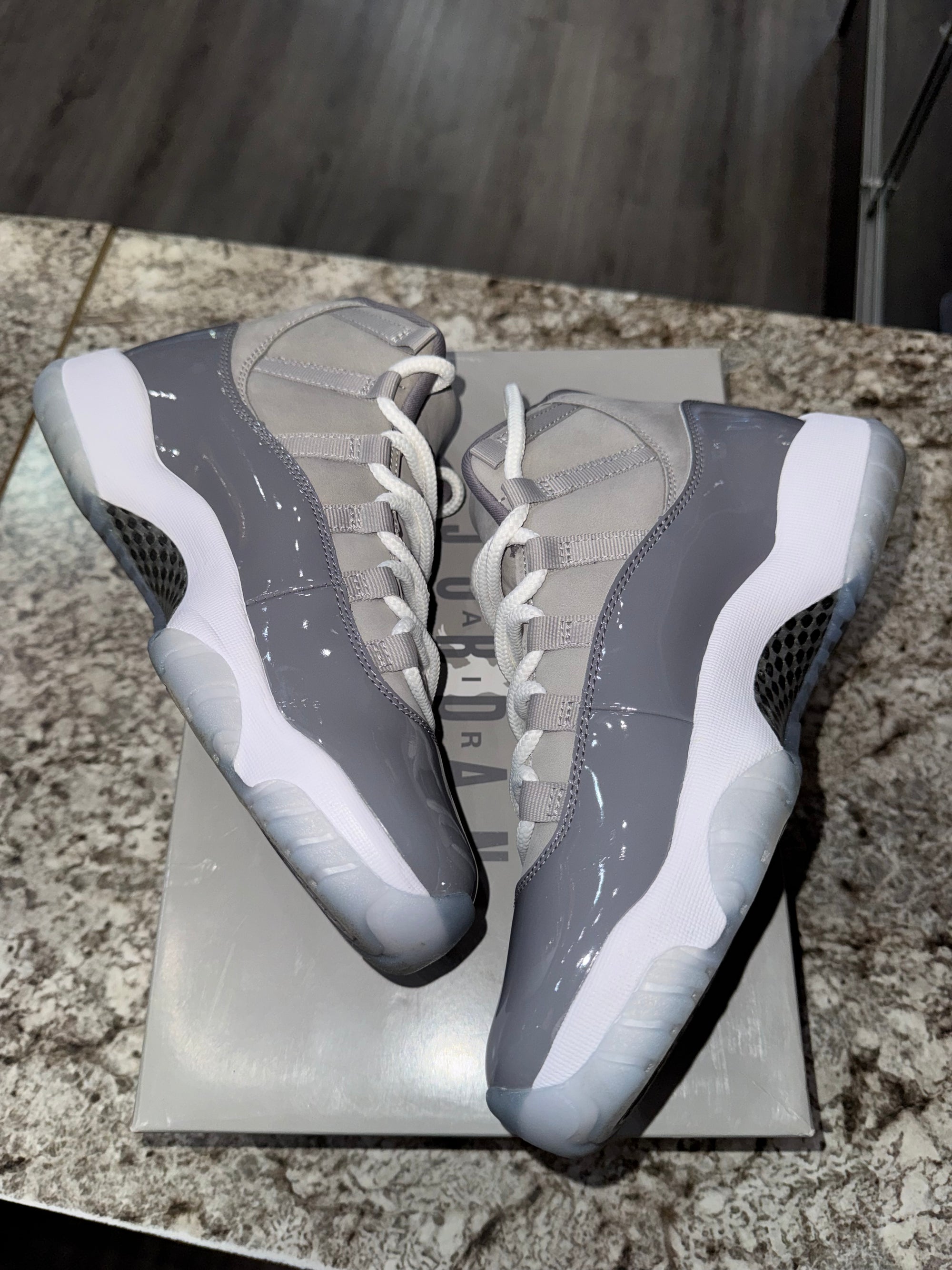 Jordan 11 Retro Cool Grey (2021)