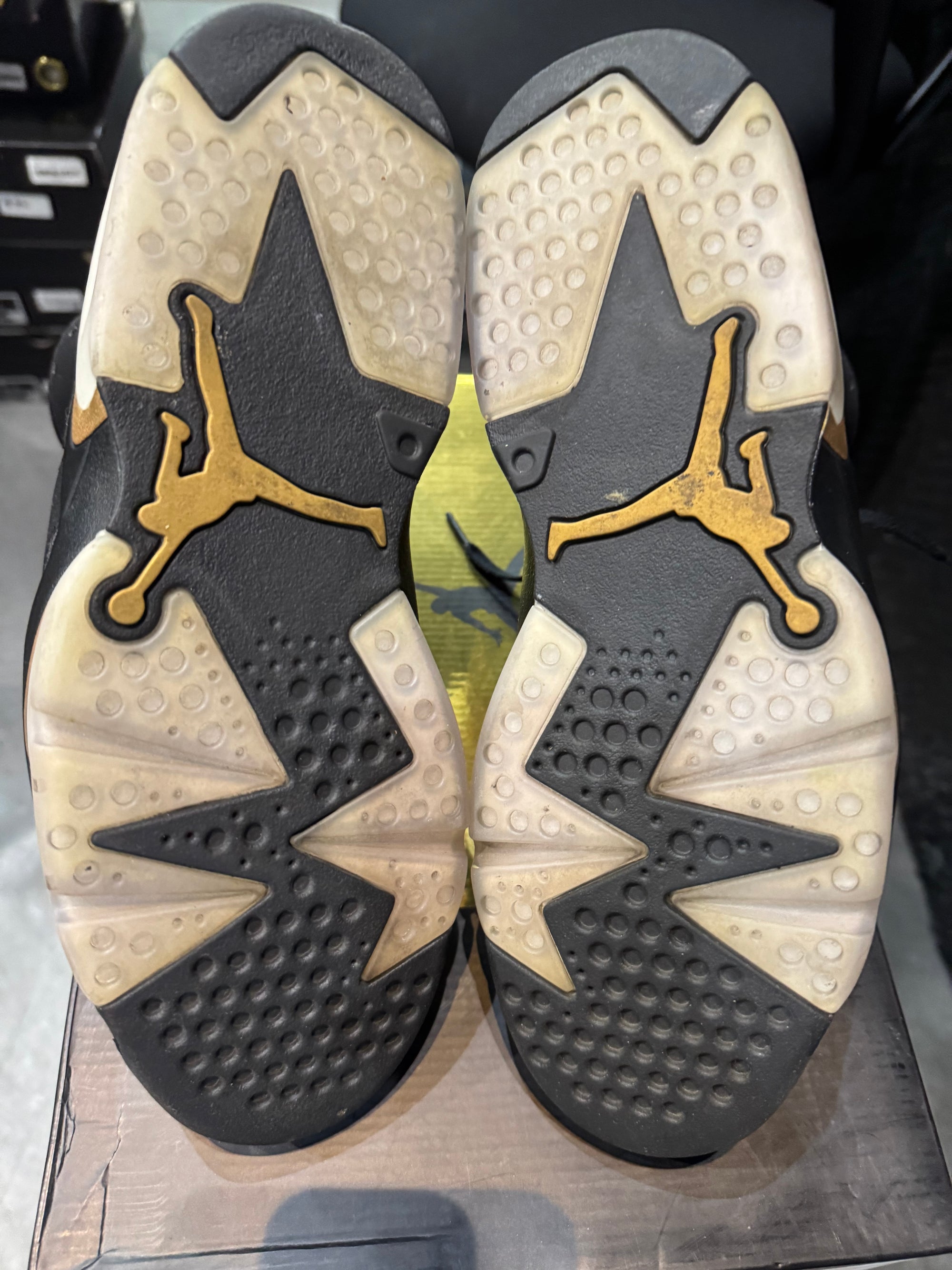 Jordan 6 Retro DMP (2020)