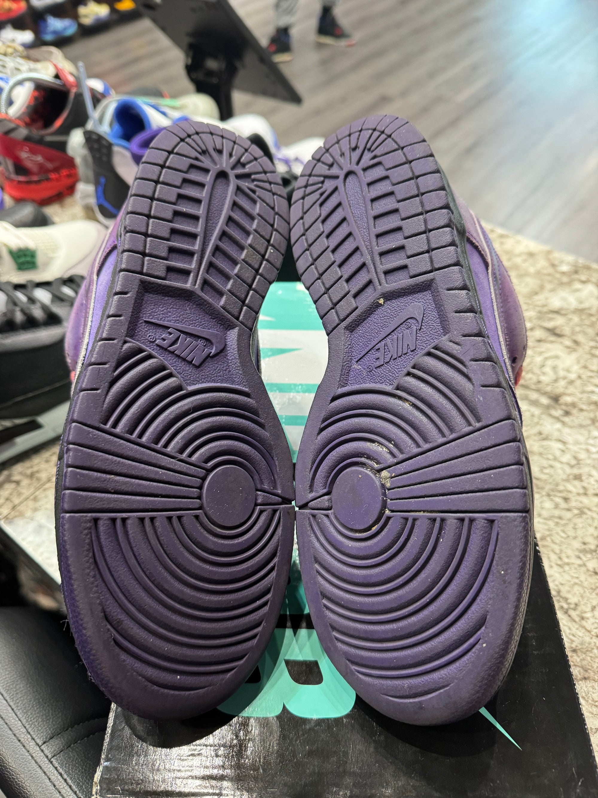 Nike SB Dunk Low Concepts Purple Lobster
