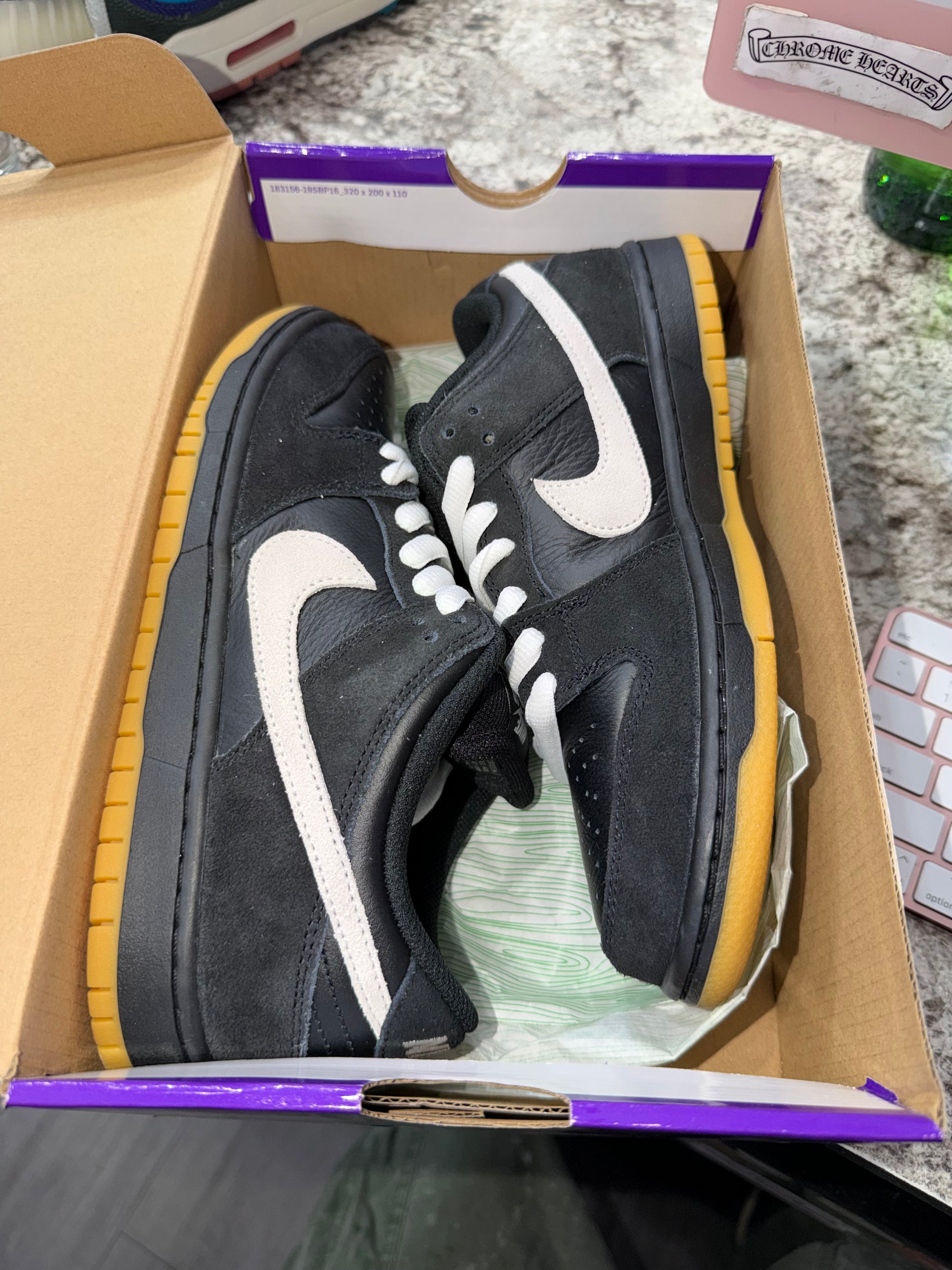 Nike Dunk Low Pro SB Black White Gum