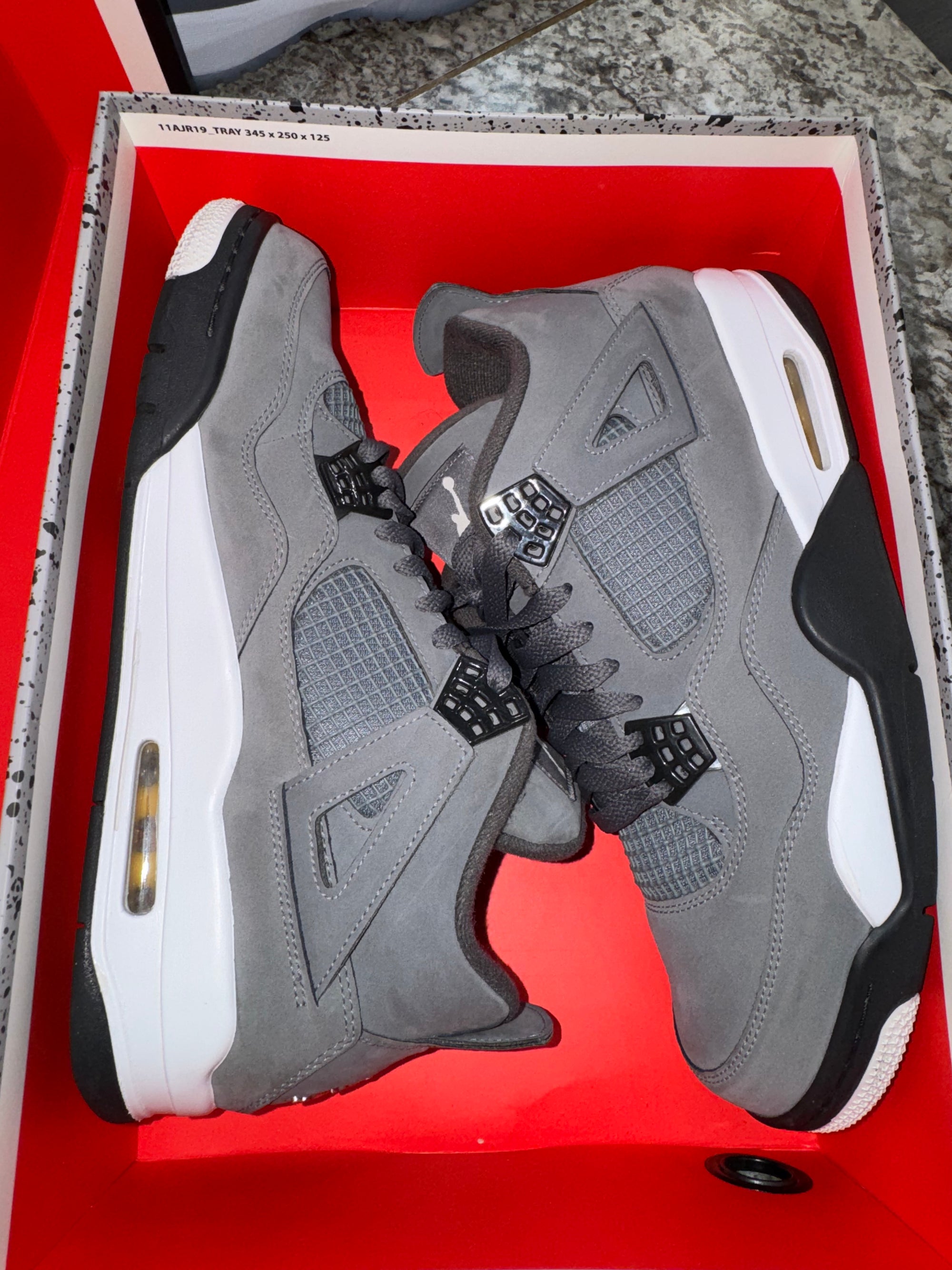 Jordan 4 Retro Cool Grey (2019)