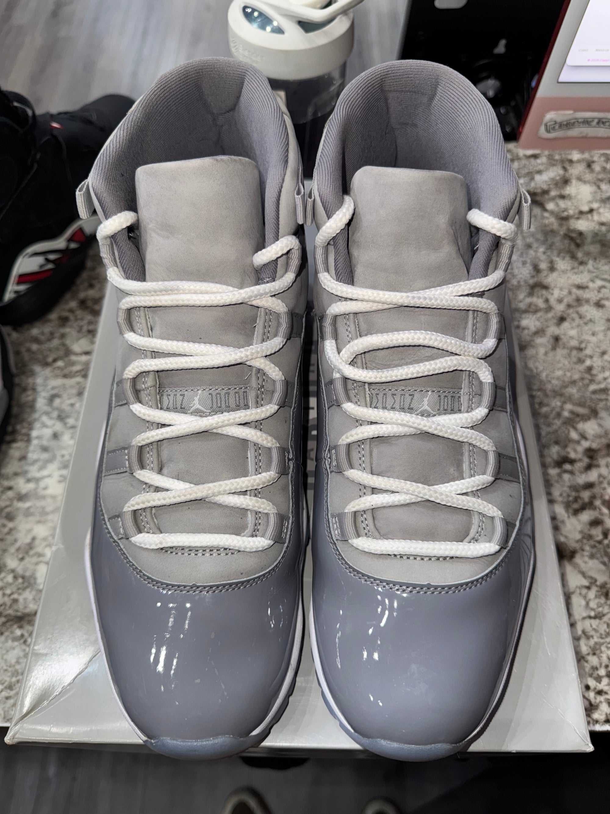 Jordan 11 Retro Cool Grey (2021)