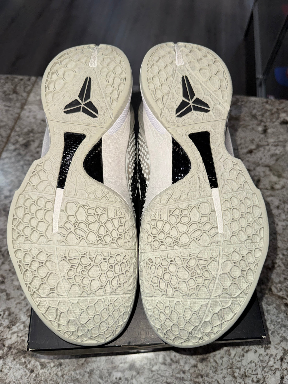 Nike Kobe 6 Protro Sail All-Star