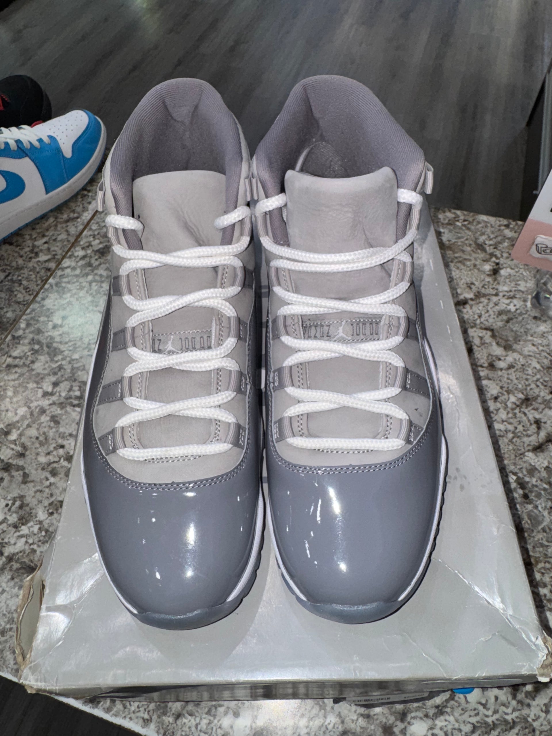Jordan 11 Retro Cool Grey (2021)