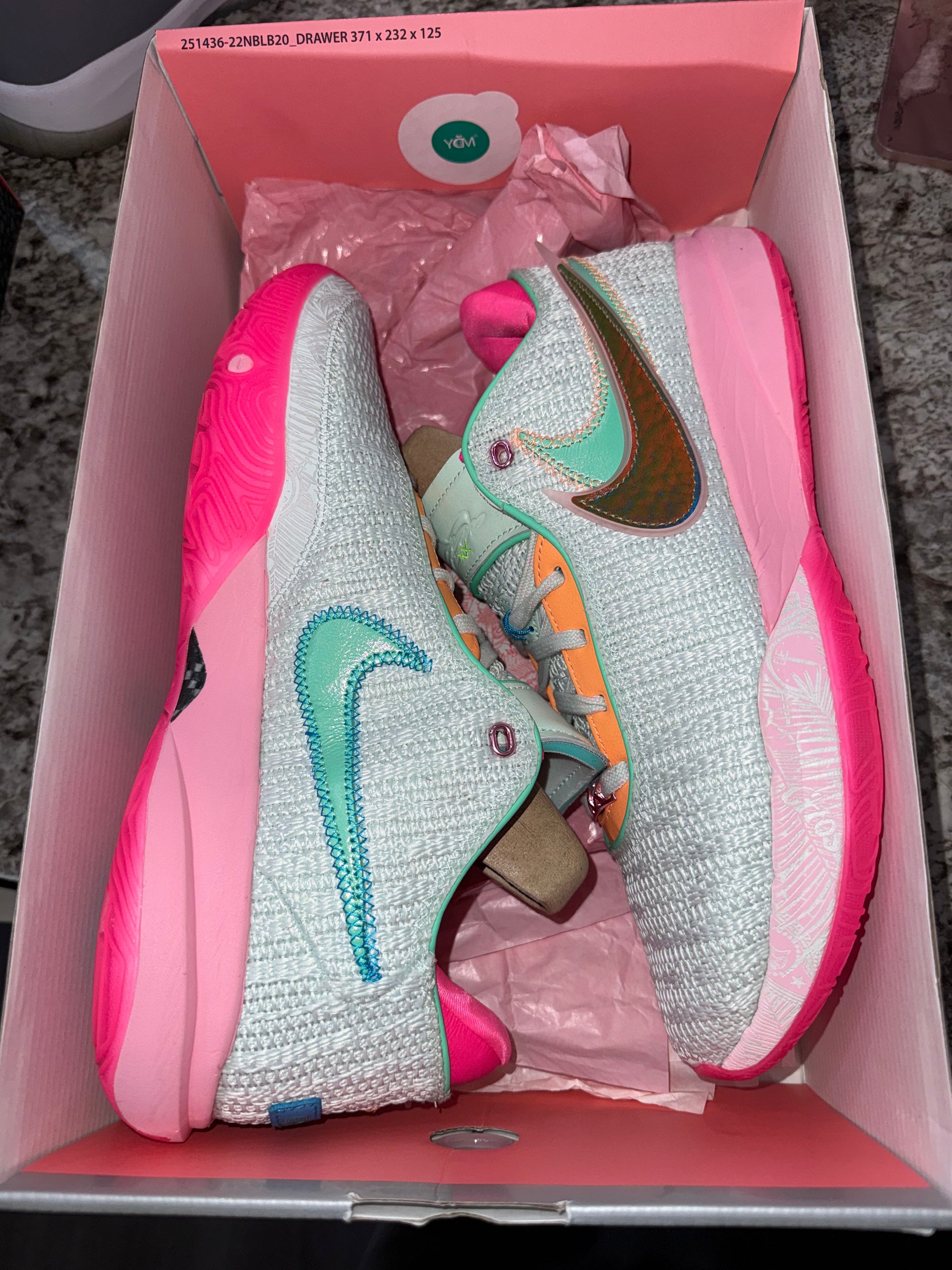 Nike LeBron 20 Time Machine