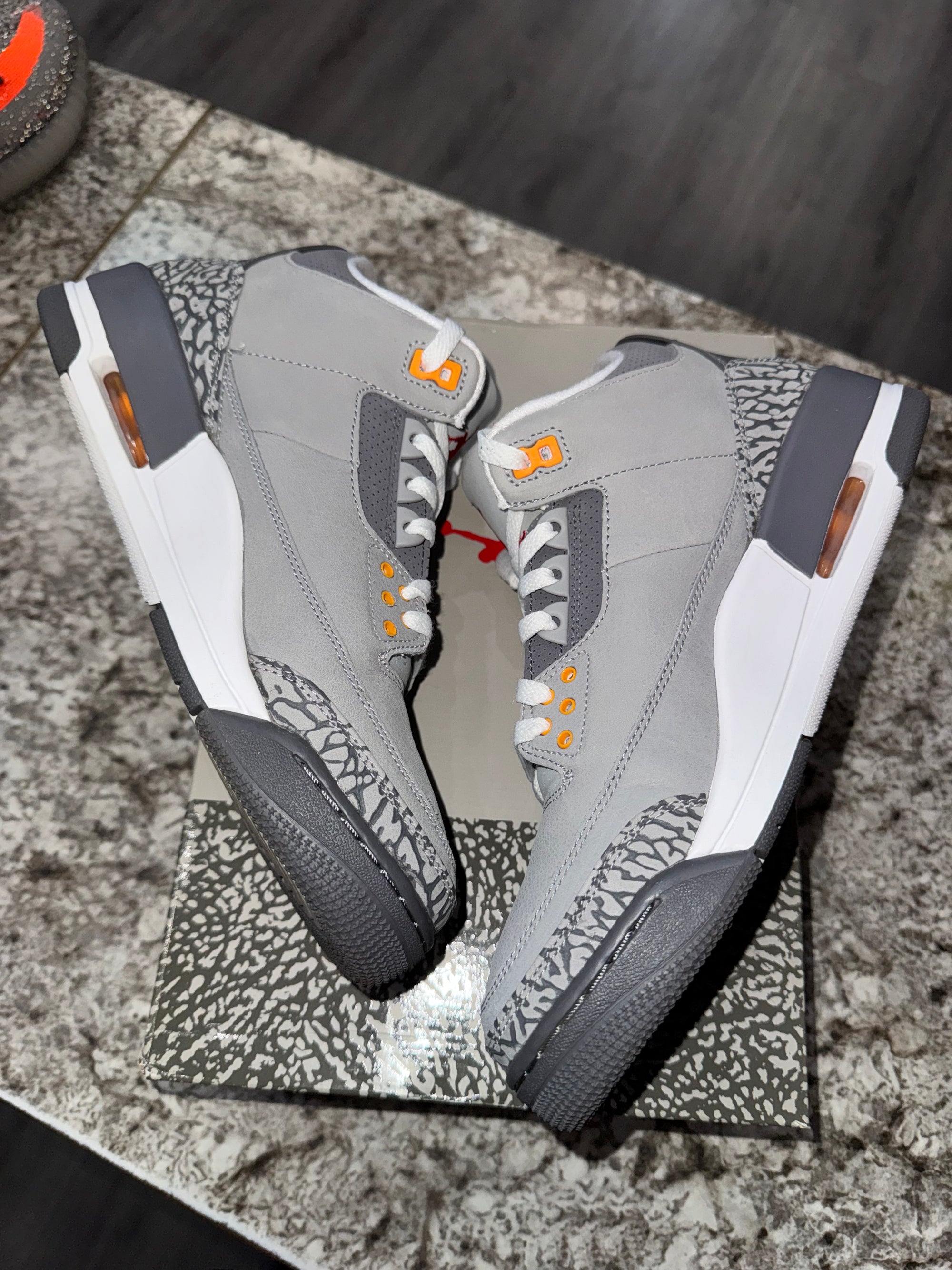 Jordan 3 Retro Cool Grey (2021)