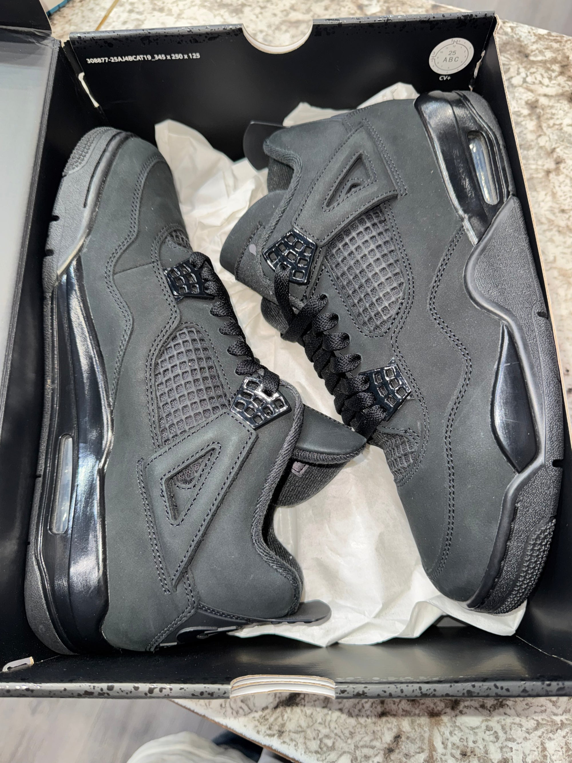 Jordan 4 Retro Black Cat (2025)