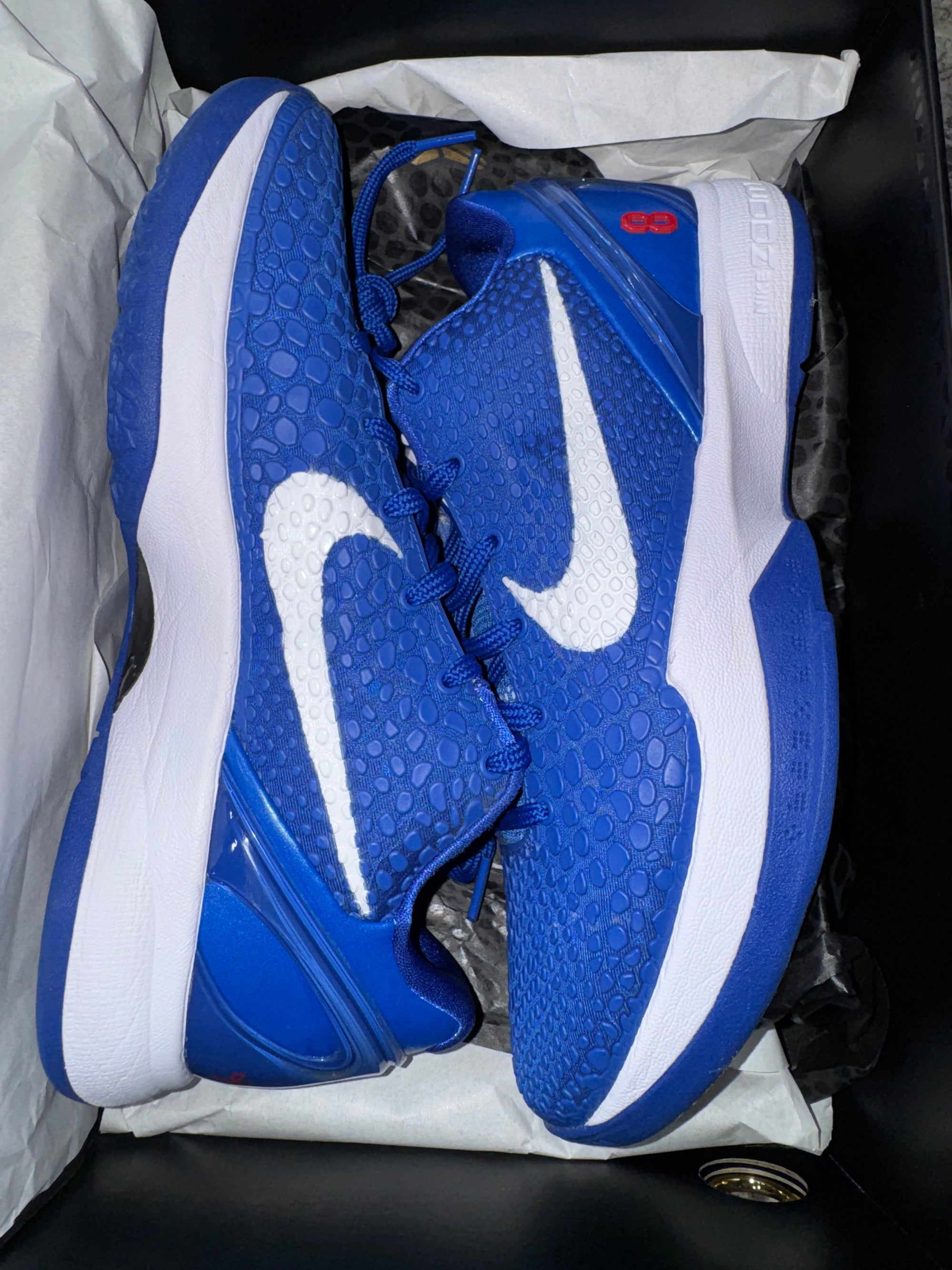Nike Kobe 6 Protro Dodgers