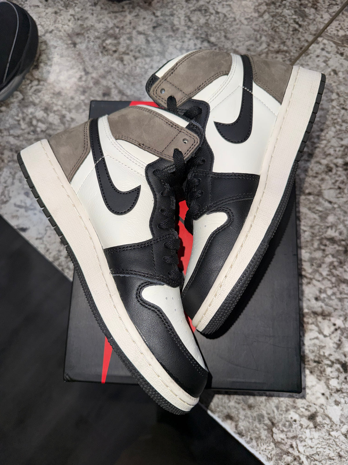 Jordan 1 Retro High Dark Mocha (GS)