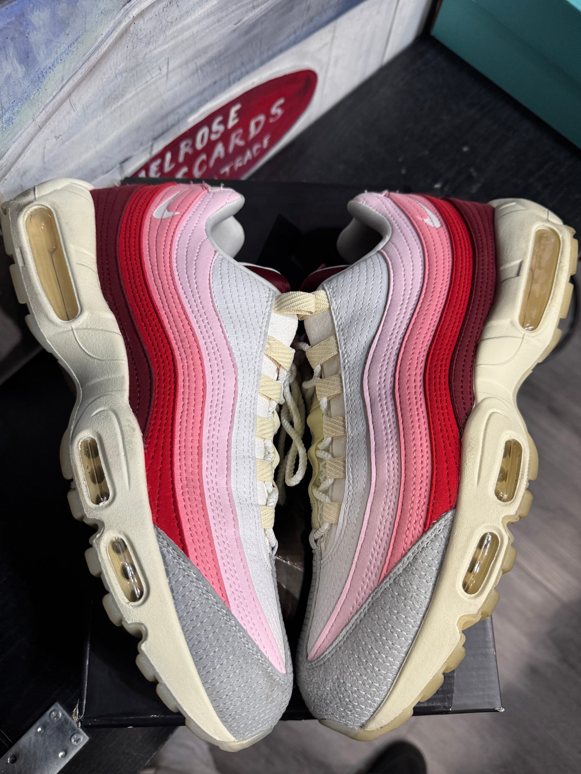 Nike Air Max 95 Anatomy of Air GID
