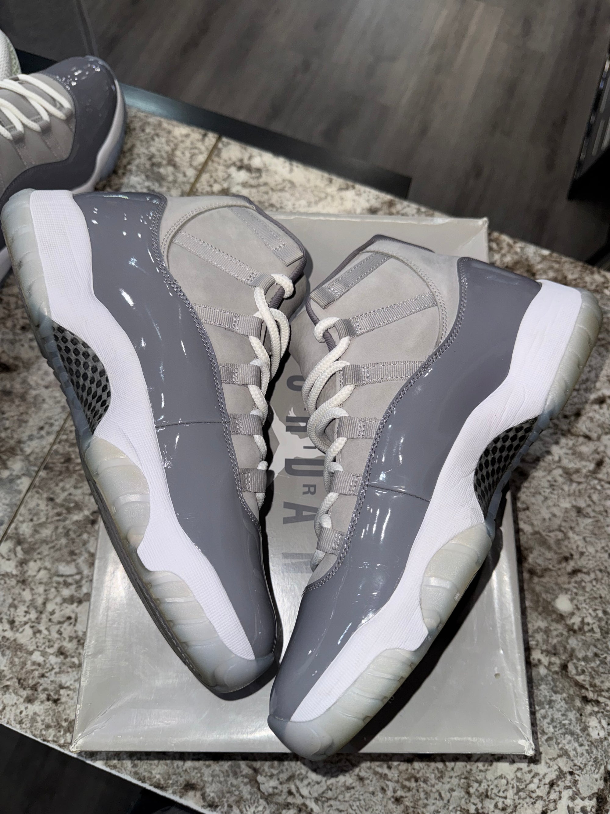Jordan 11 Retro Cool Grey (2021)