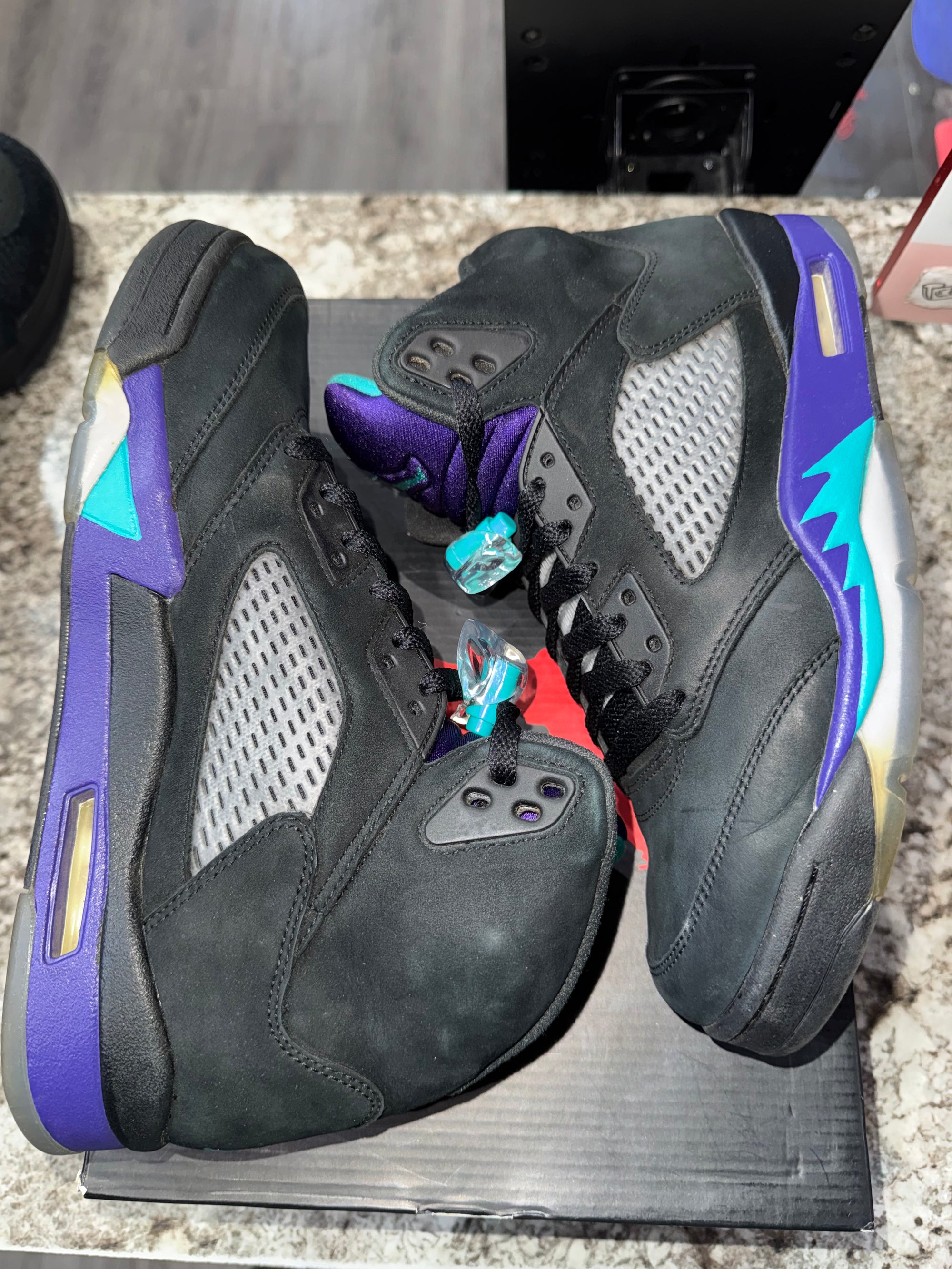 Jordan 5 Retro Black Grape (2013)