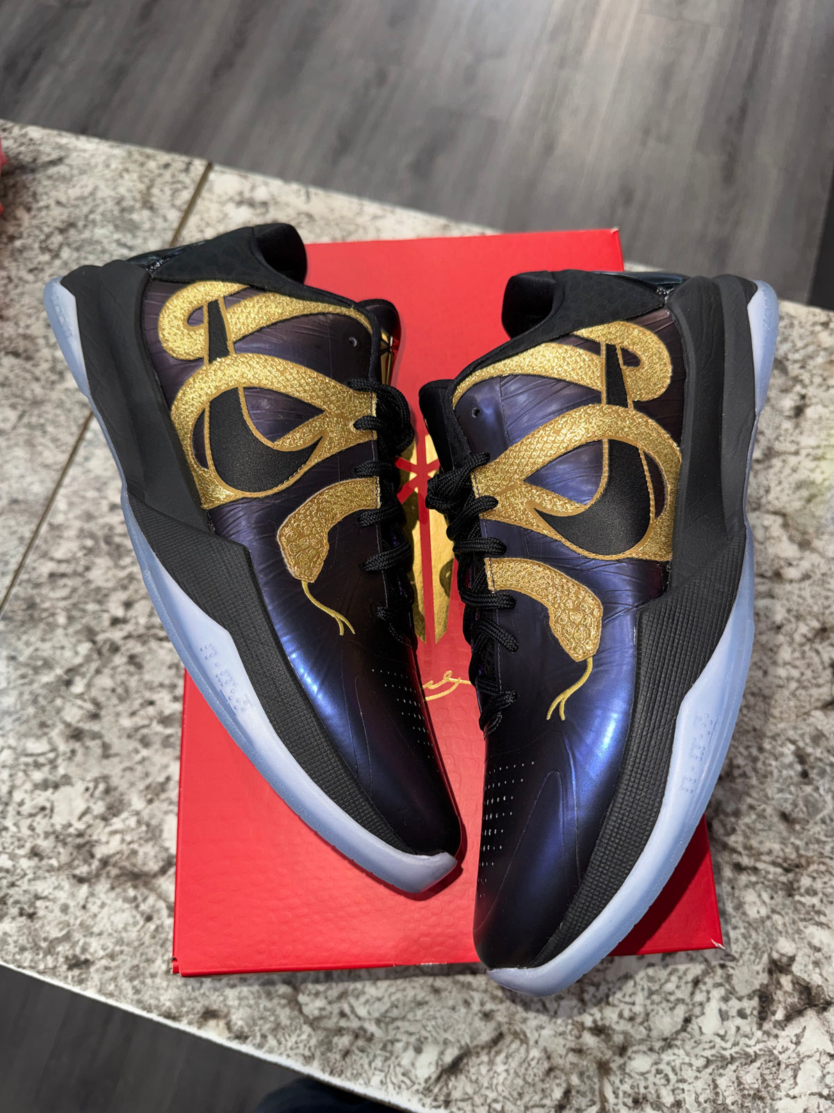 Nike Kobe 5 Protro Year of the Mamba Eggplant