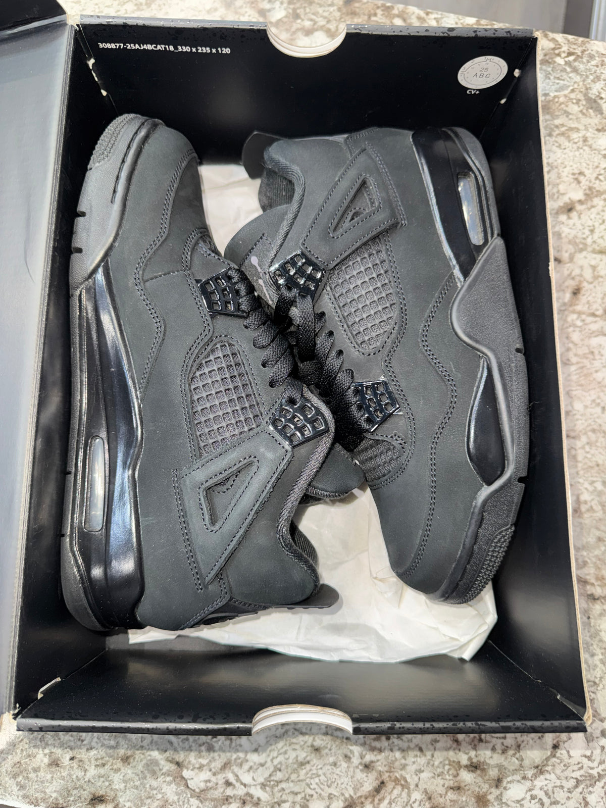 Jordan 4 Retro Black Cat (2025)