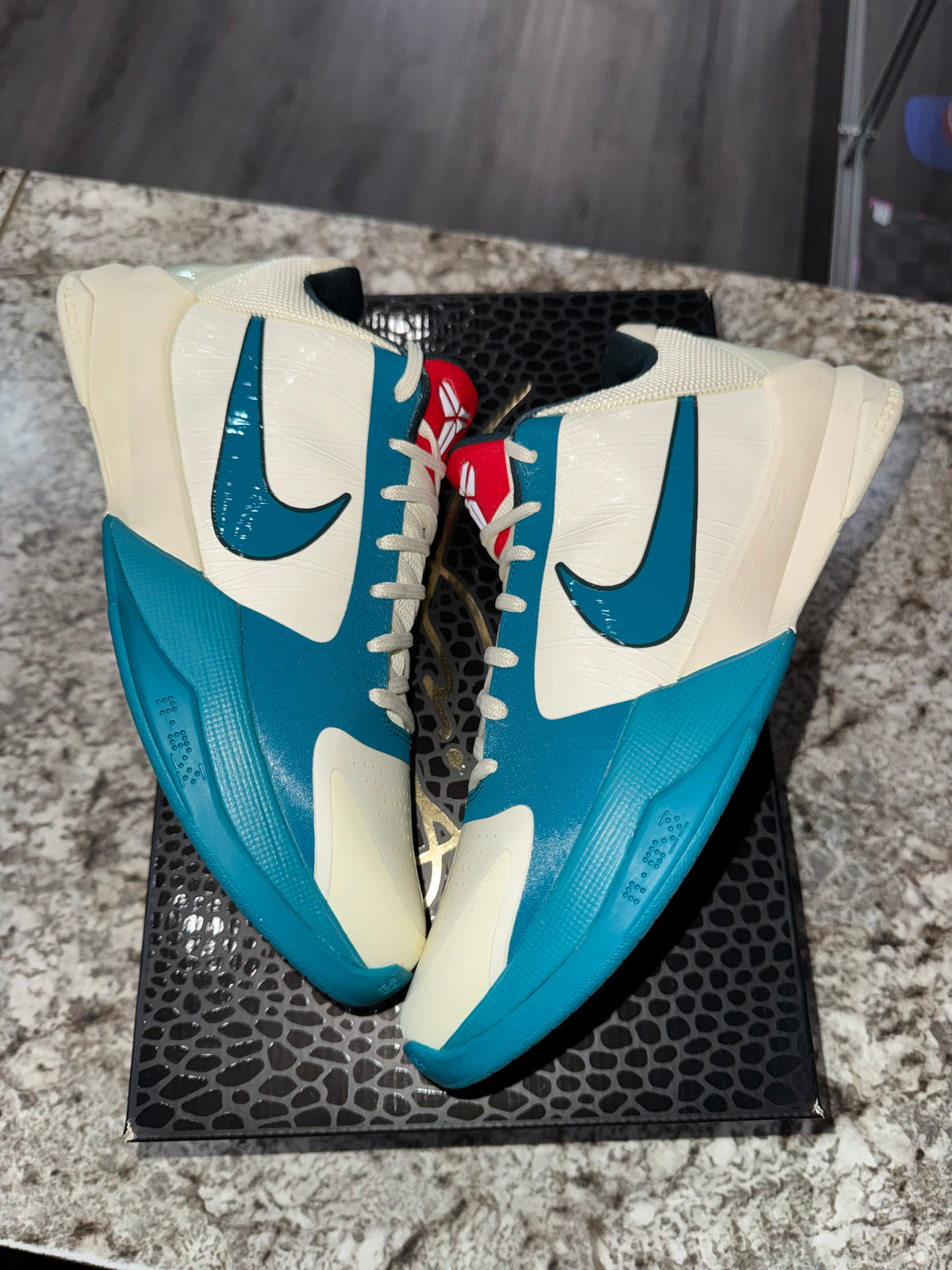 Nike Kobe 5 Protro Caitlin Clark Coconut Milk Spruce