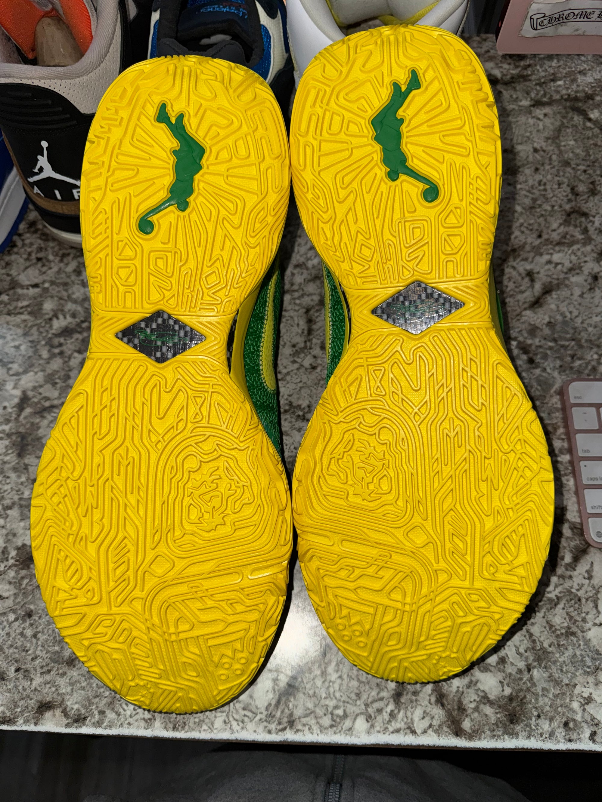 Lebron XX Oregon PE (Sample)