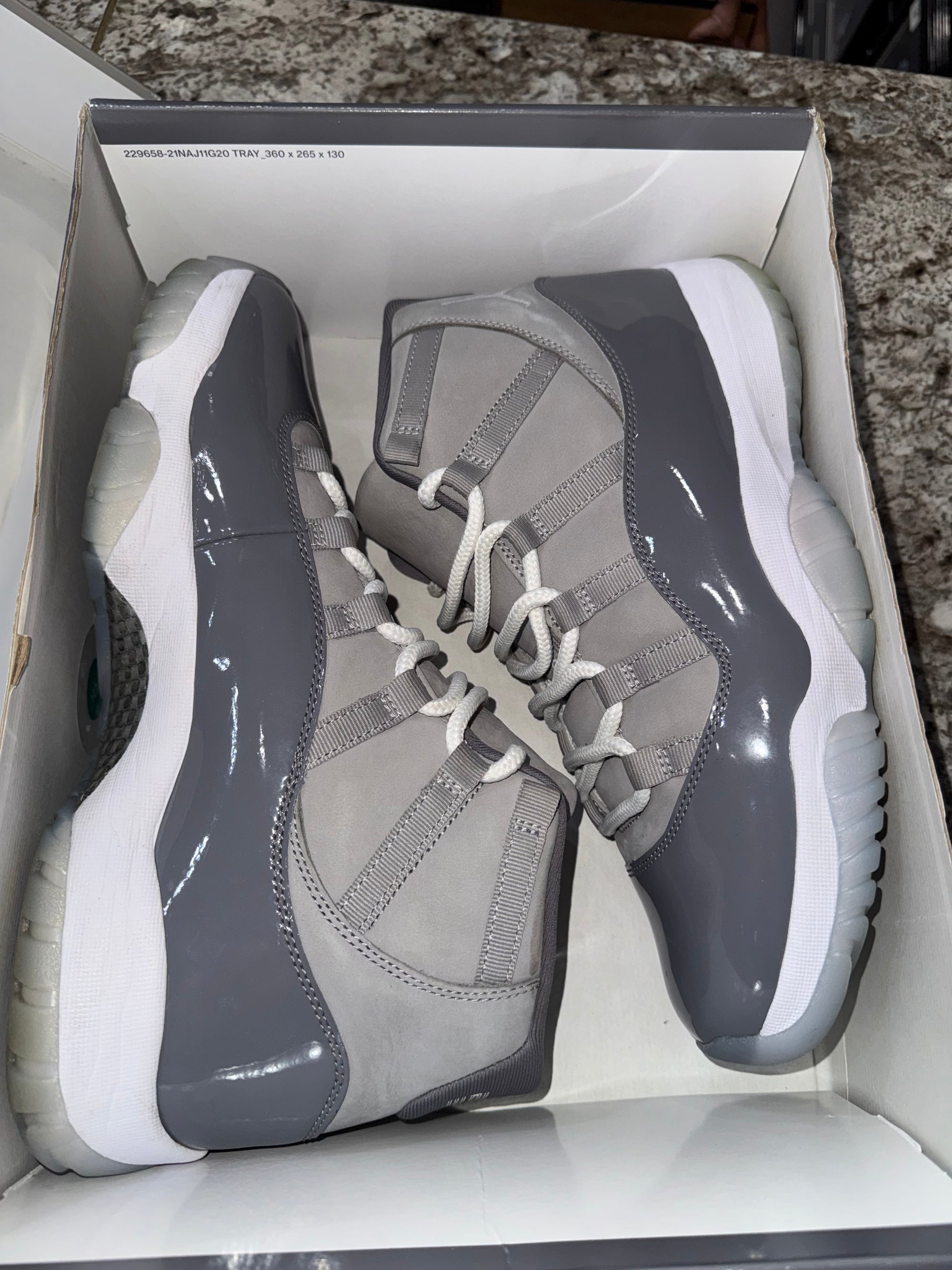 Jordan 11 Retro Cool Grey (2021)