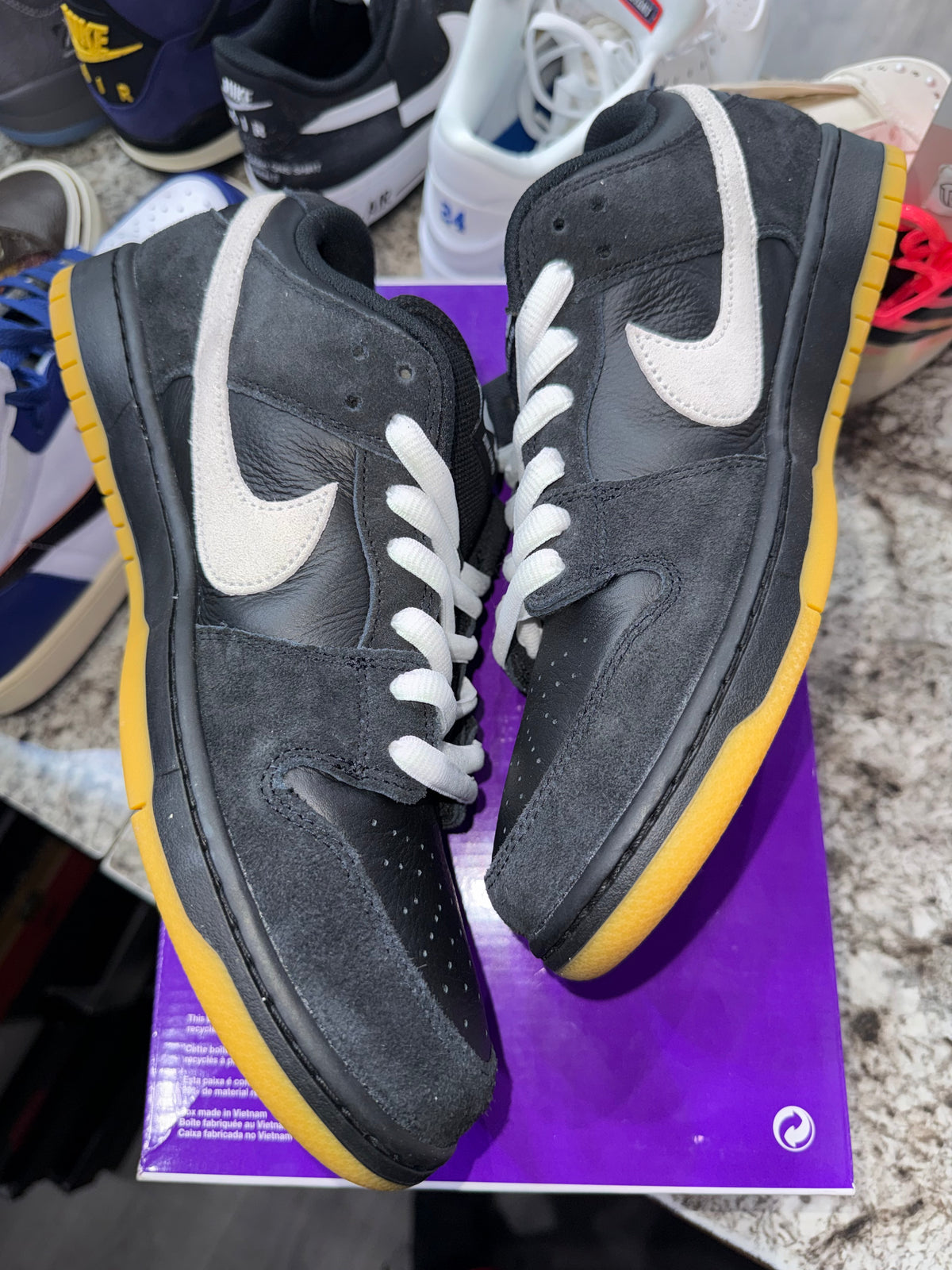 Nike Dunk Low Pro SB Black White Gum