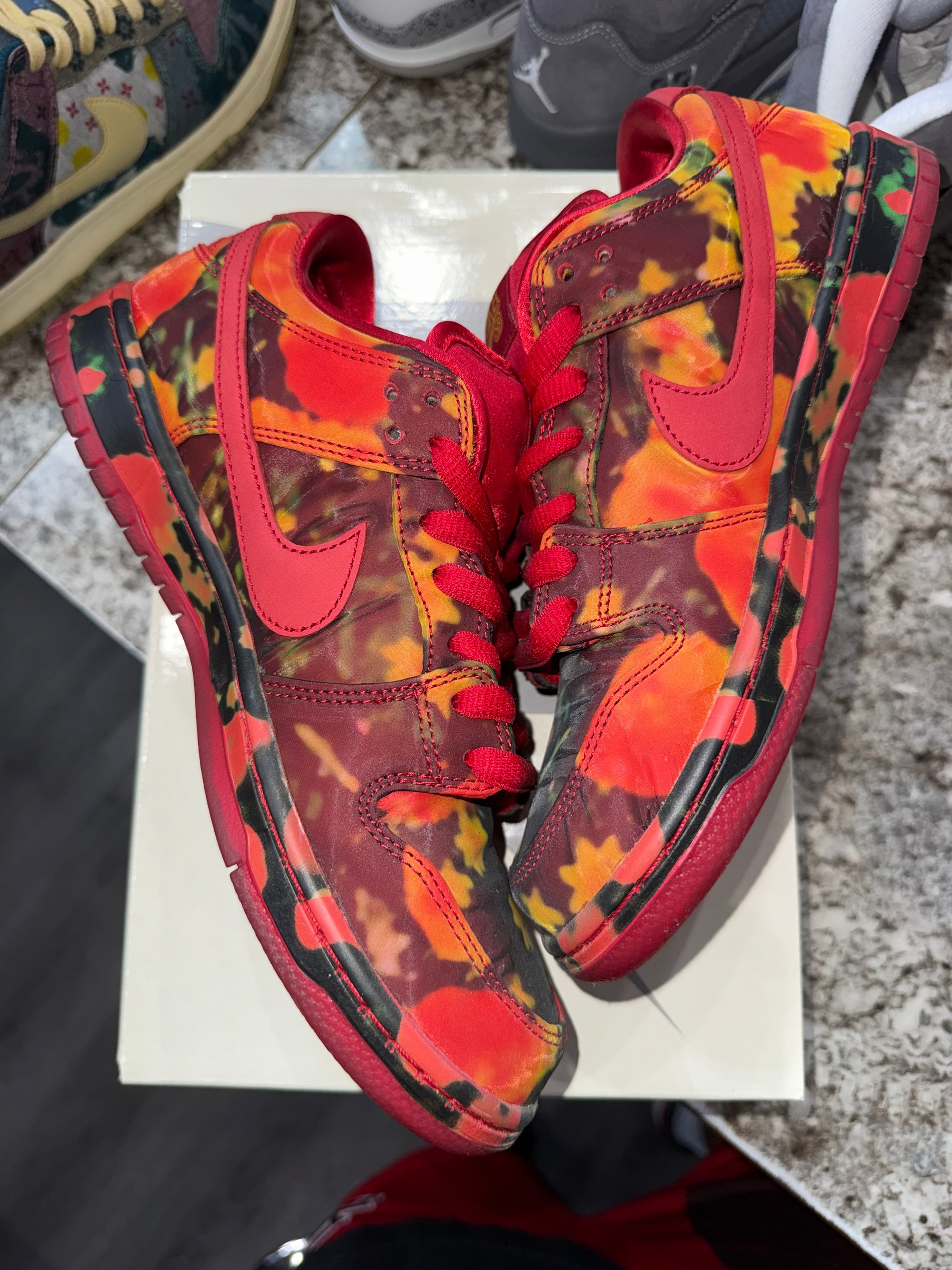 Nike SB Dunk Low The Wizard of Oz Poppy Field