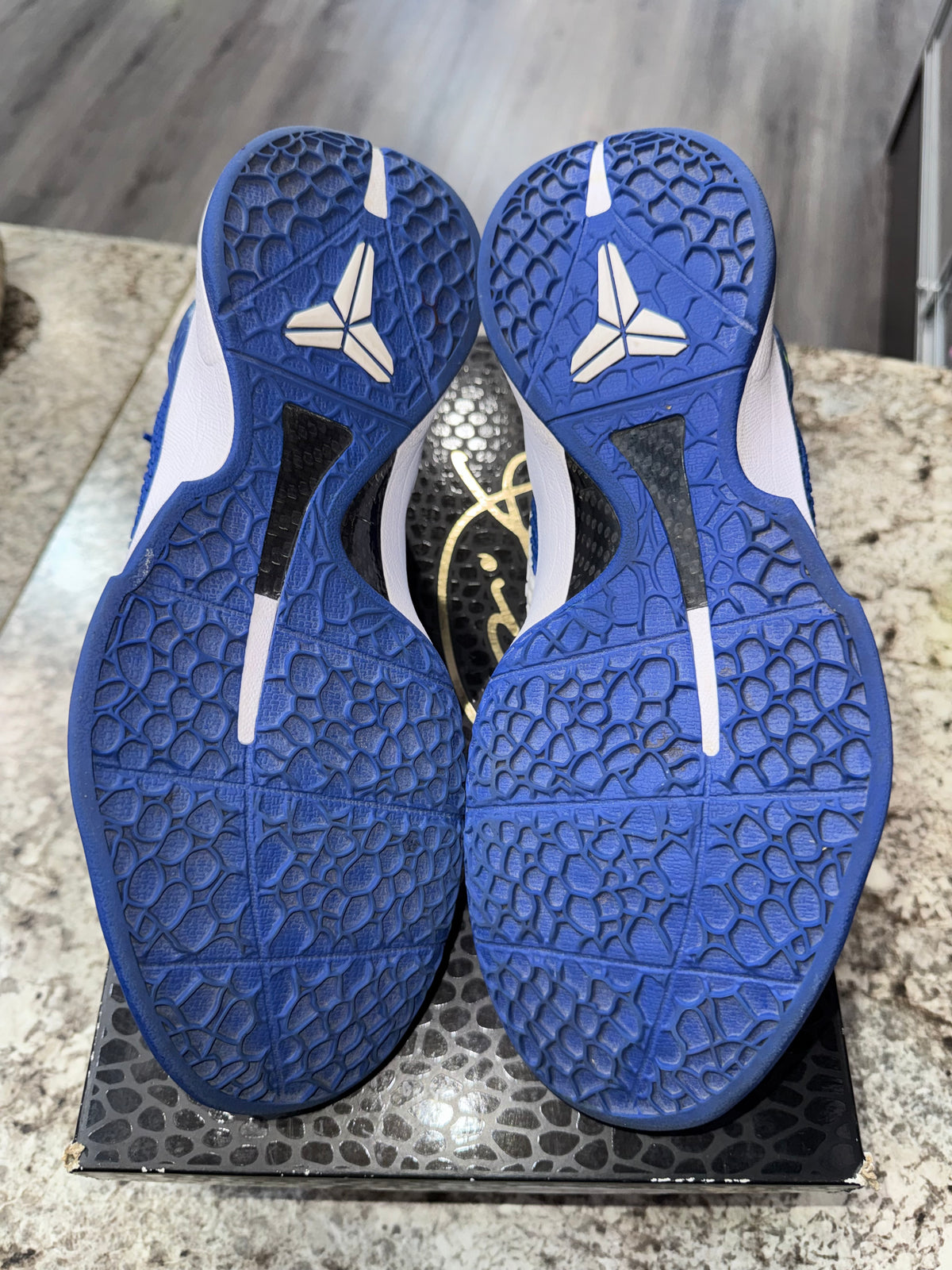 Nike Kobe 6 Protro Dodgers