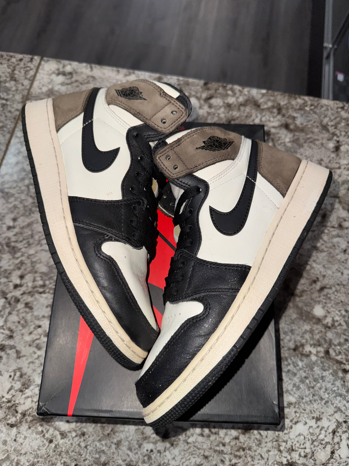 Jordan 1 Retro High Dark Mocha (GS)