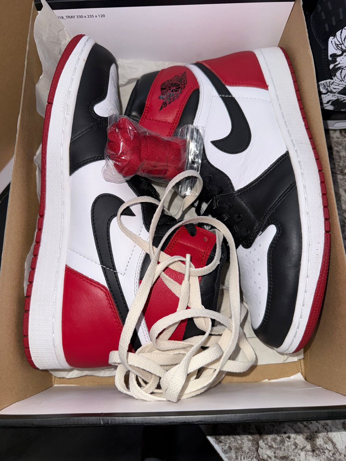 Jordan 1 Retro Black Toe (2016)