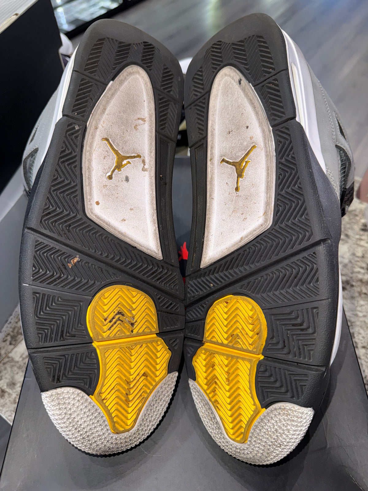 Jordan 4 Retro Cool Grey (2019)