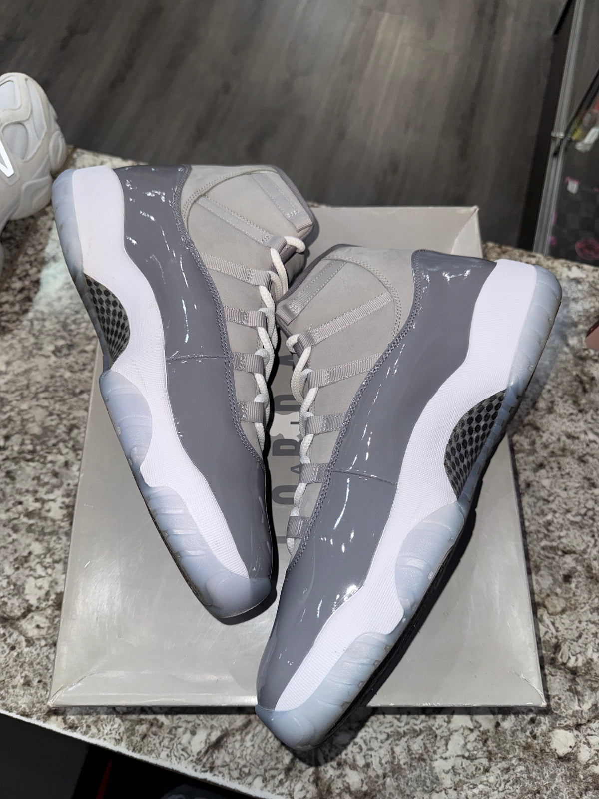 Jordan 11 Retro Cool Grey (2021)