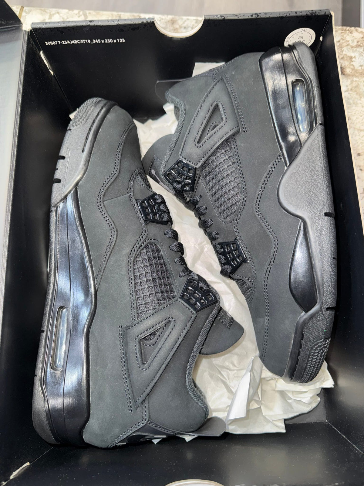 Jordan 4 Retro Black Cat (2025)