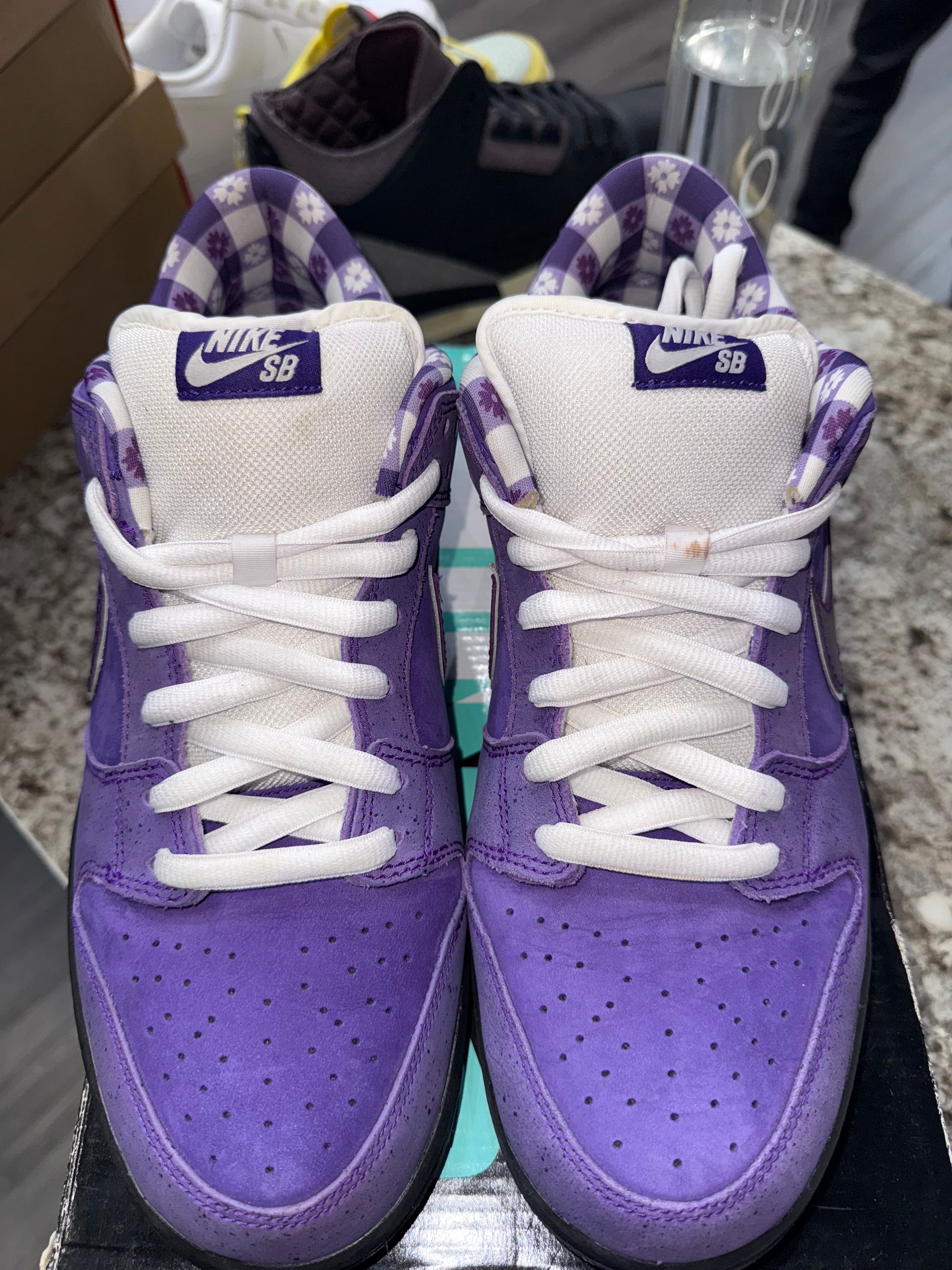 Nike SB Dunk Low Concepts Purple Lobster