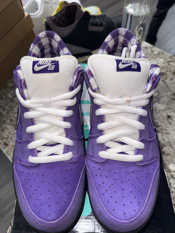 Nike SB Dunk Low Concepts Purple Lobster