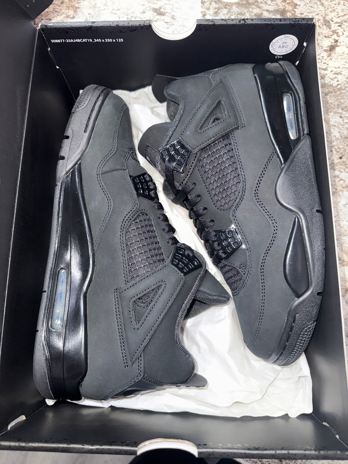Jordan 4 Retro Black Cat (2025)