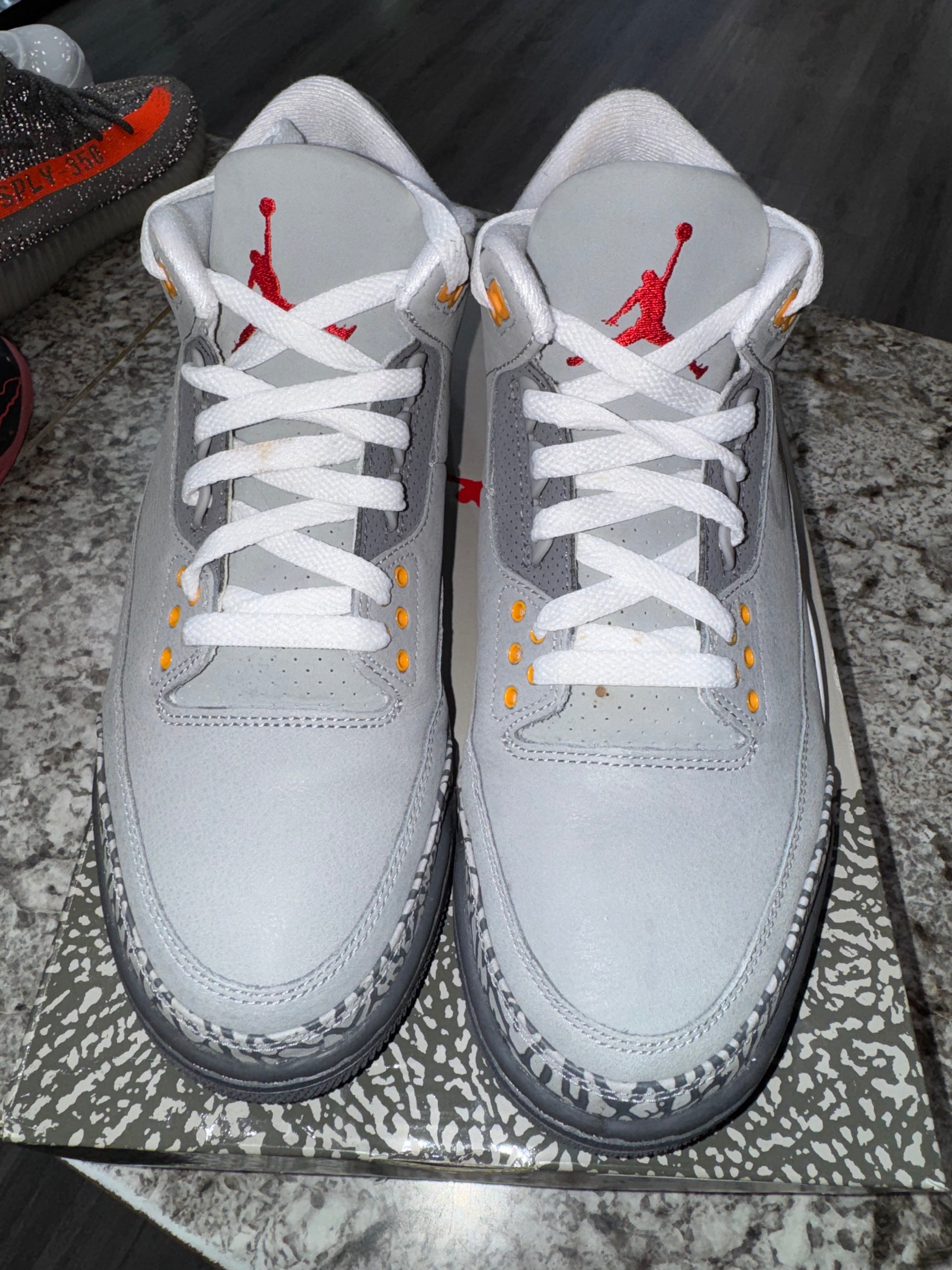 Jordan 3 Retro Cool Grey (2021)