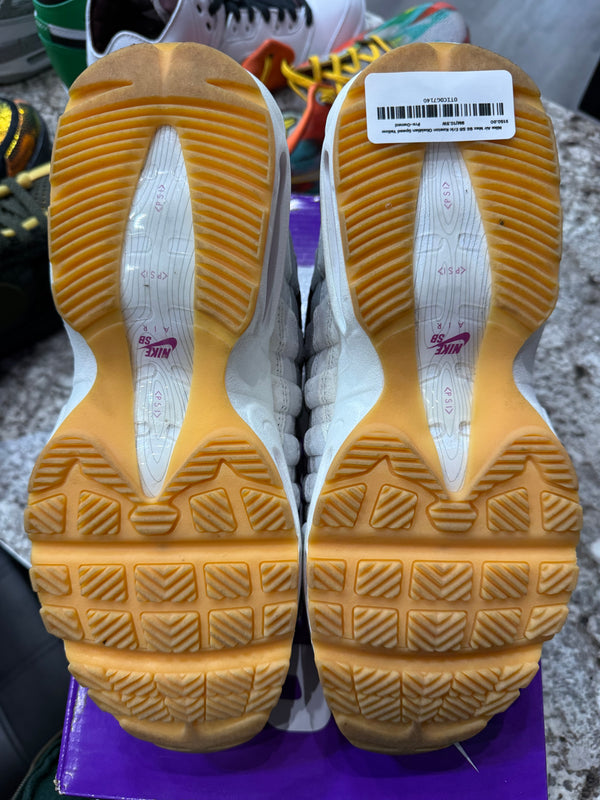 Nike Air Max 95 SB Cactus Flower