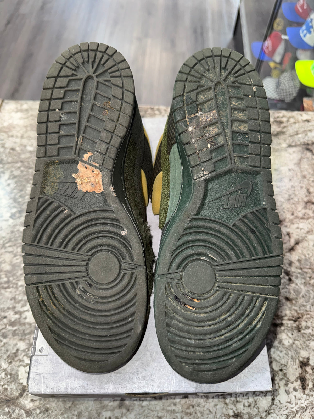 Nike Dunk Low Cactus Plant Flea Market Swamp Sponge Sequoia