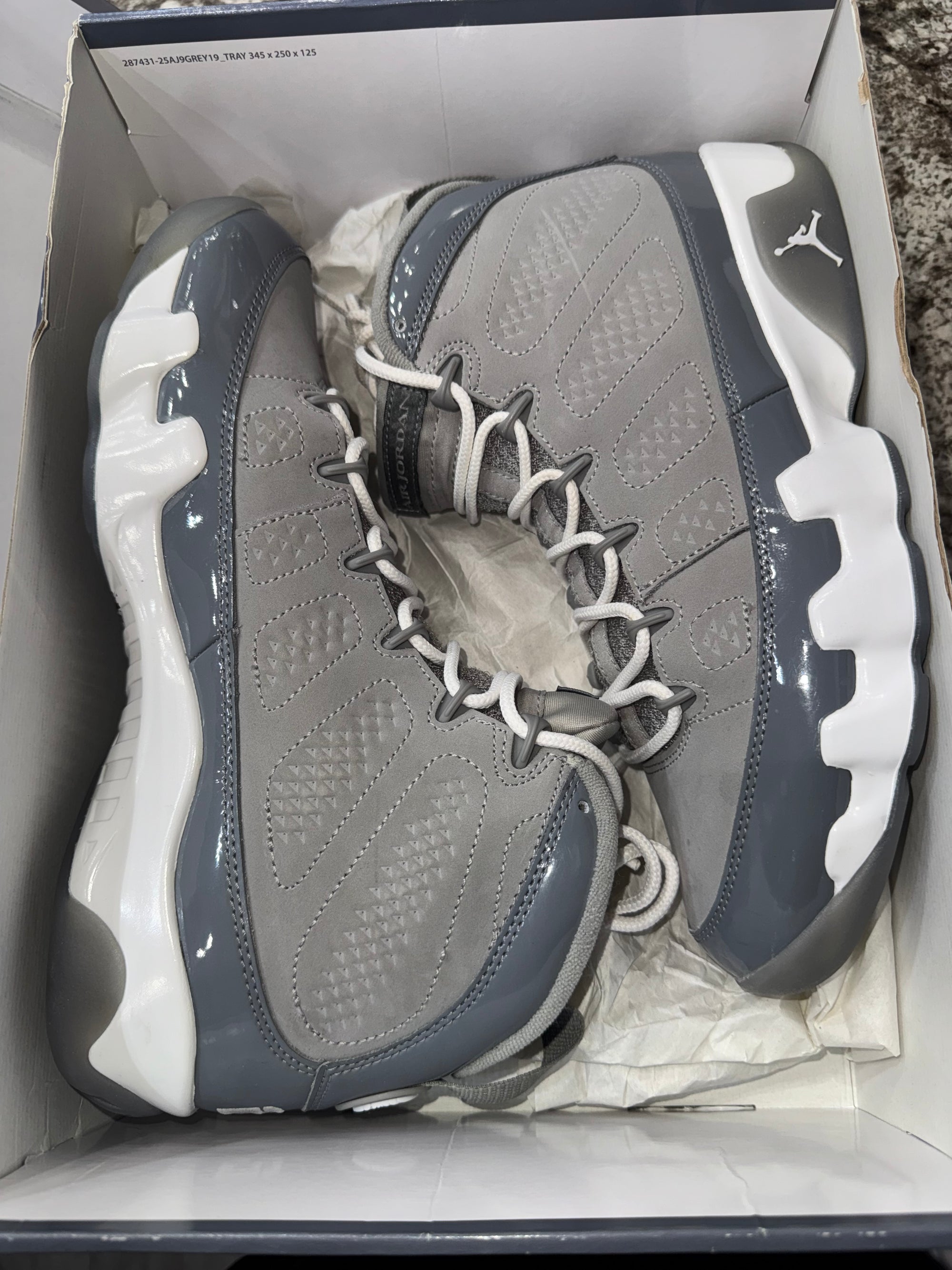 Jordan 9 Retro Cool Grey (2025)
