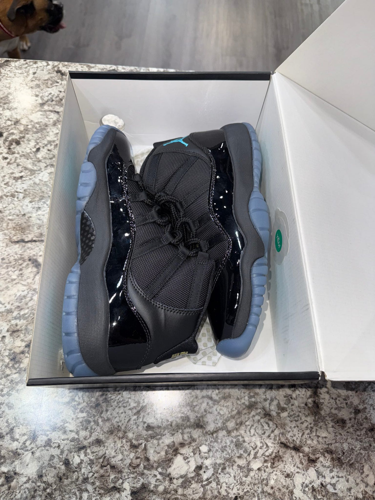 Jordan 11 Retro Gamma Blue (2025) (GS)