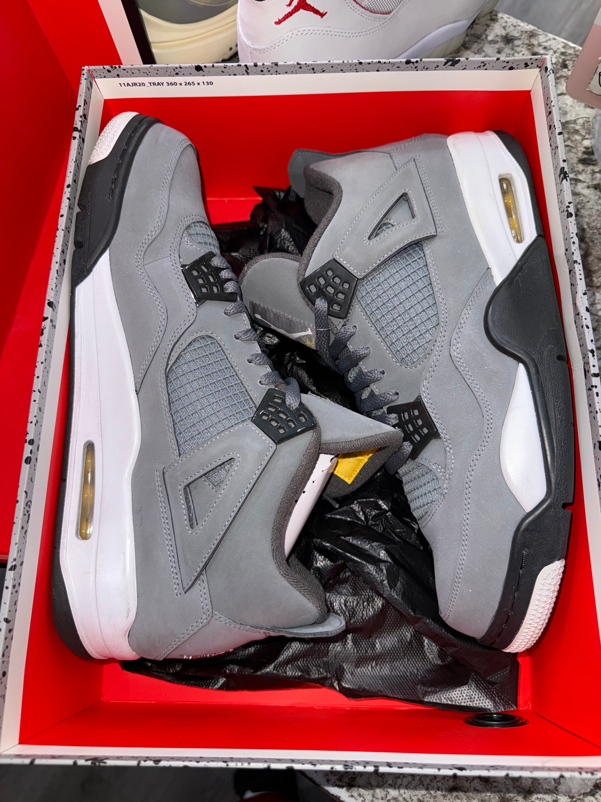 Jordan 4 Retro Cool Grey (2019)