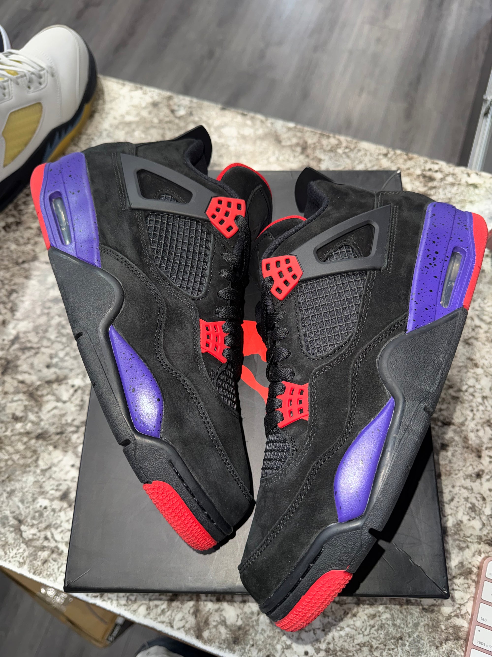 Jordan 4 Retro Raptors (2018)