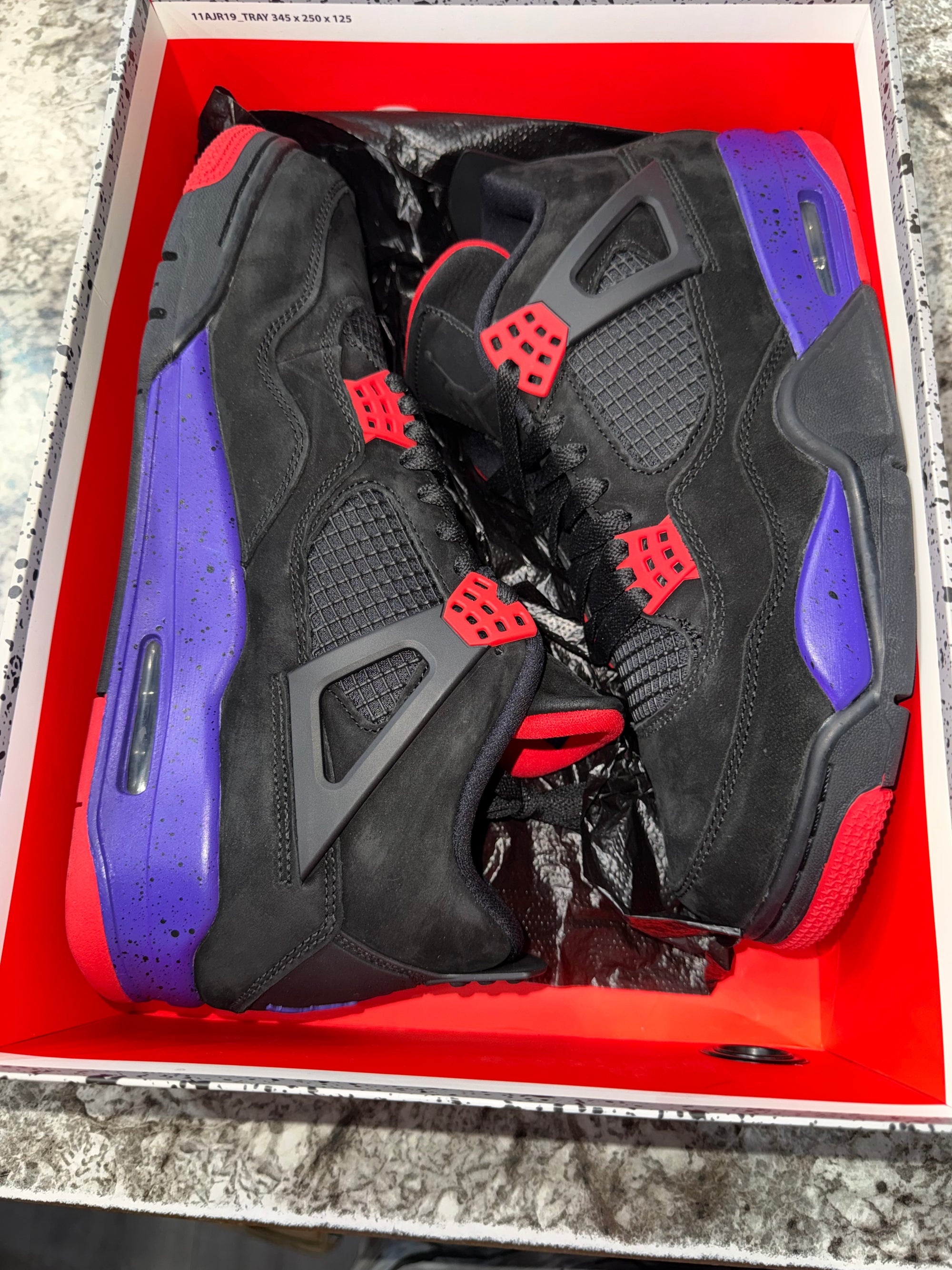 Jordan 4 Retro Raptors (2018)