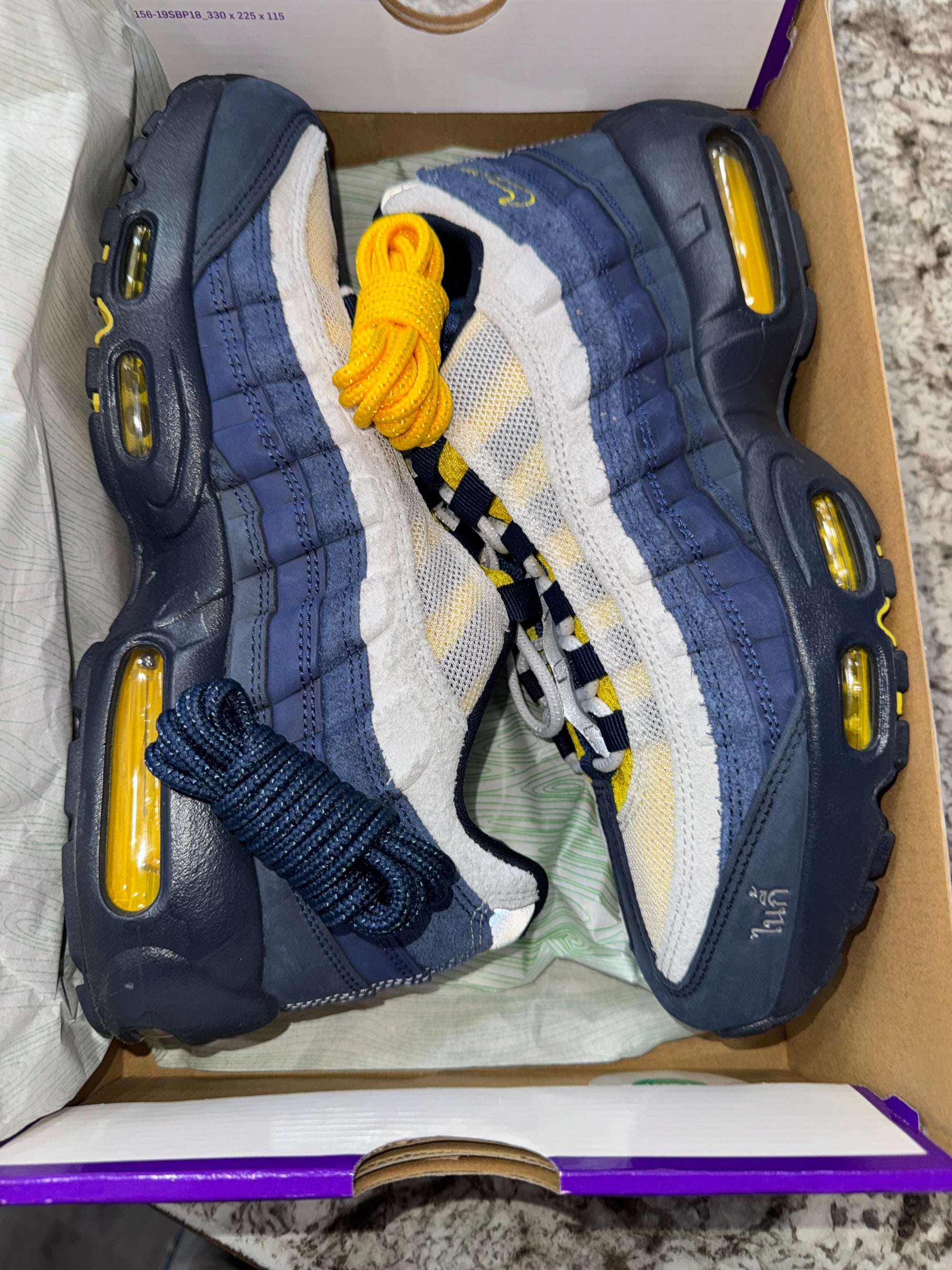 Nike Air Max 95 SB Eric Koston Obsidian Speed Yellow