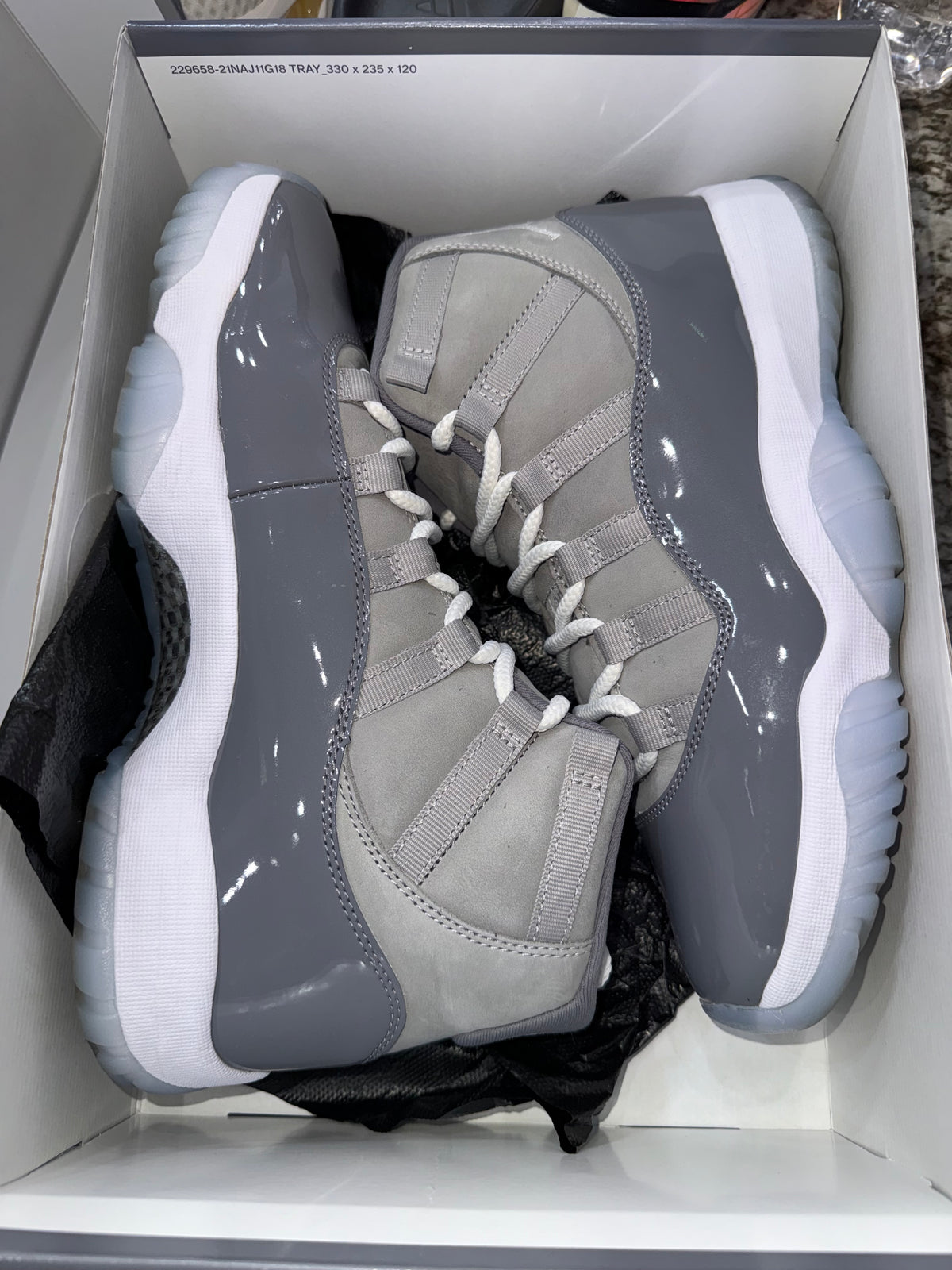 Jordan 11 Retro Cool Grey (2021)