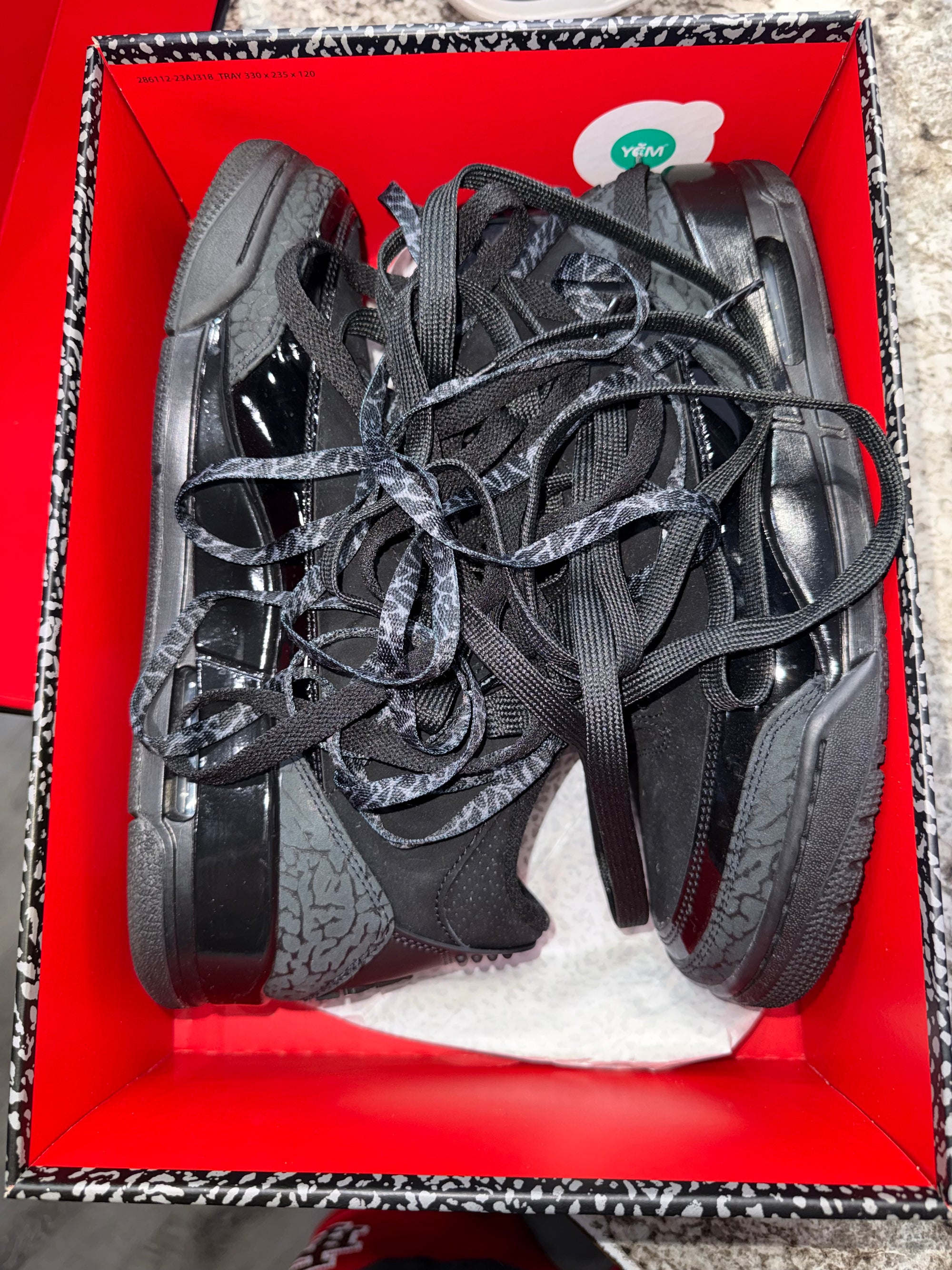 Jordan 3 Retro Black Cat (2025)