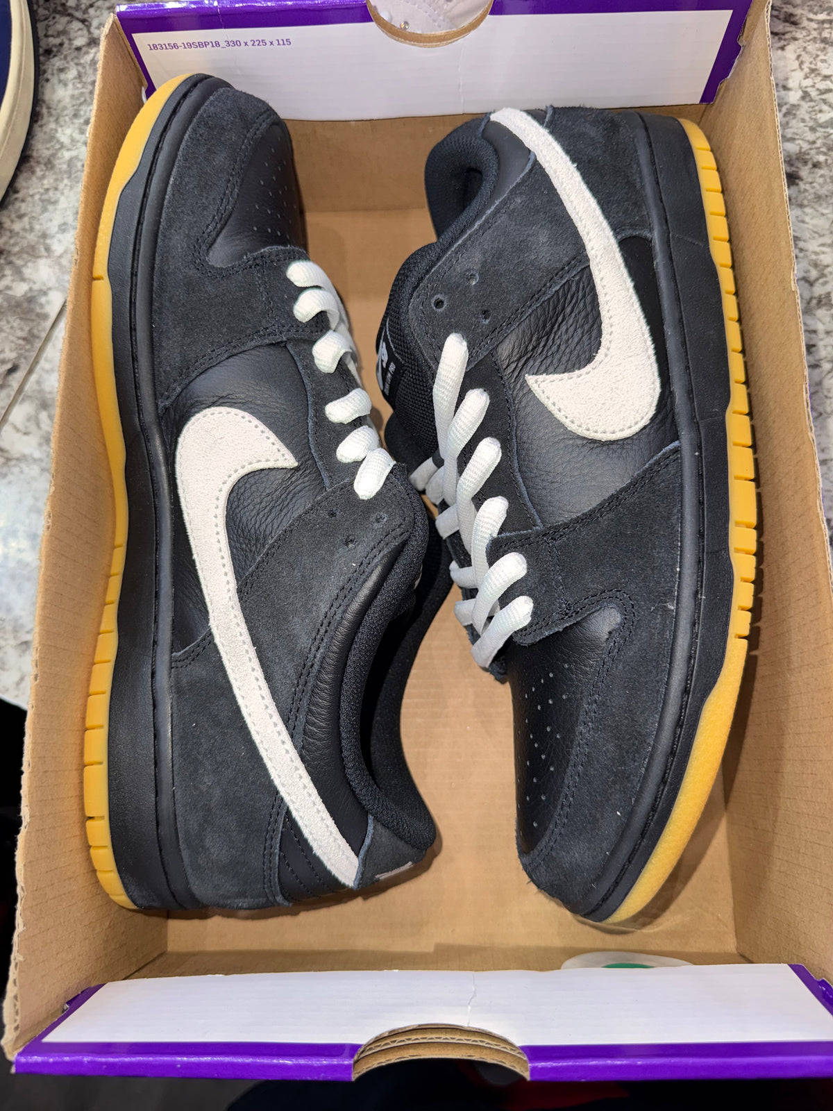 Nike Dunk Low Pro SB Black White Gum