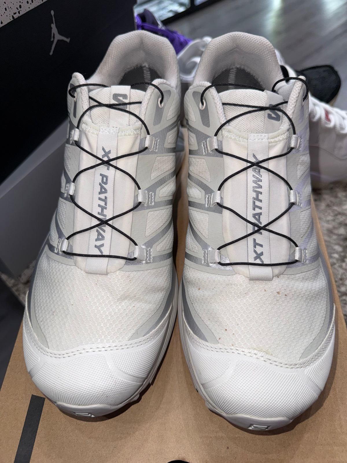 Salomon XT-Pathway GTX Lunar Rock Alloy