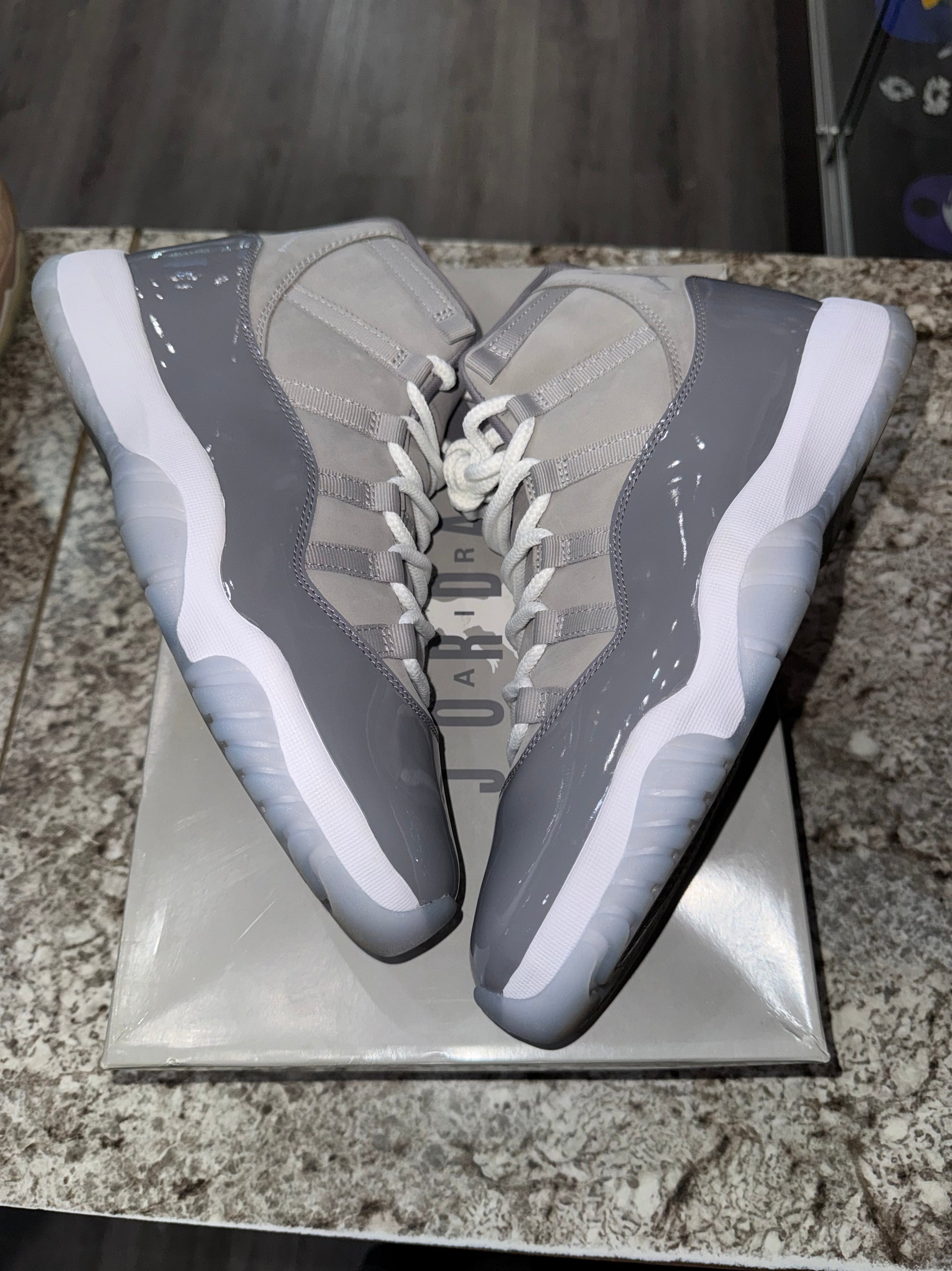 Jordan 11 Retro Cool Grey (2021)