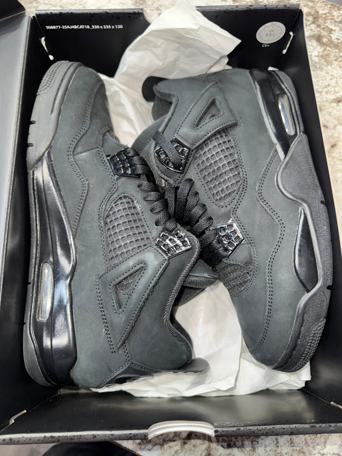 Jordan 4 Retro Black Cat (2025)