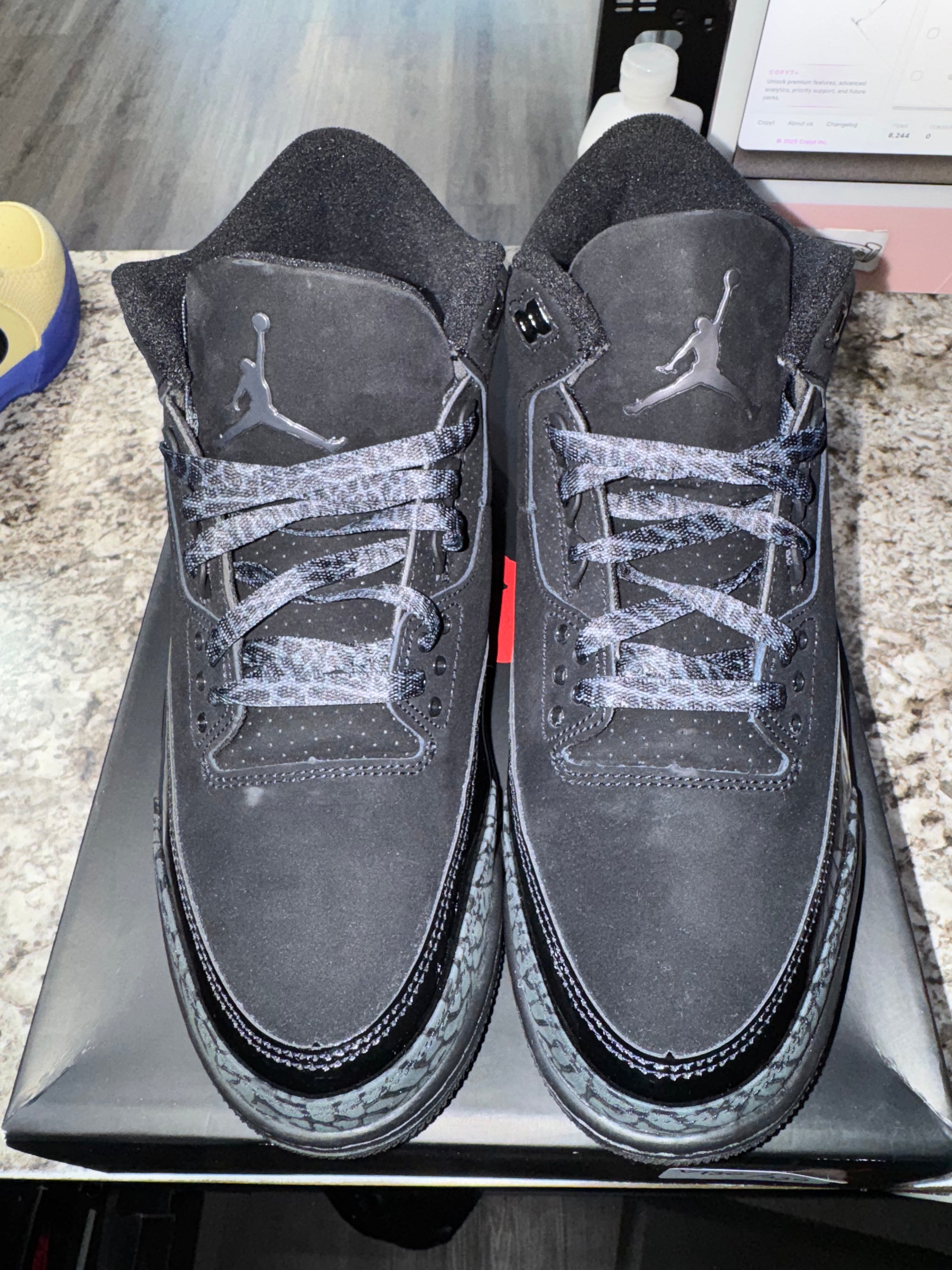 Jordan 3 Retro Black Cat (2025)